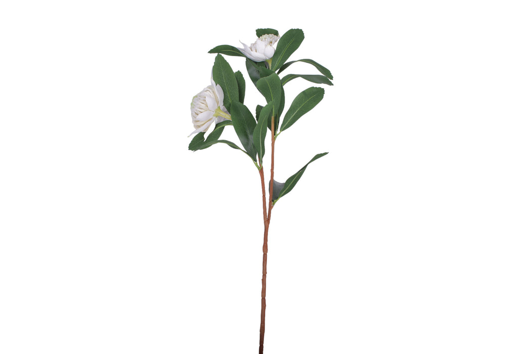 34" Waratah Flower-White UV Treated     FL1053UV