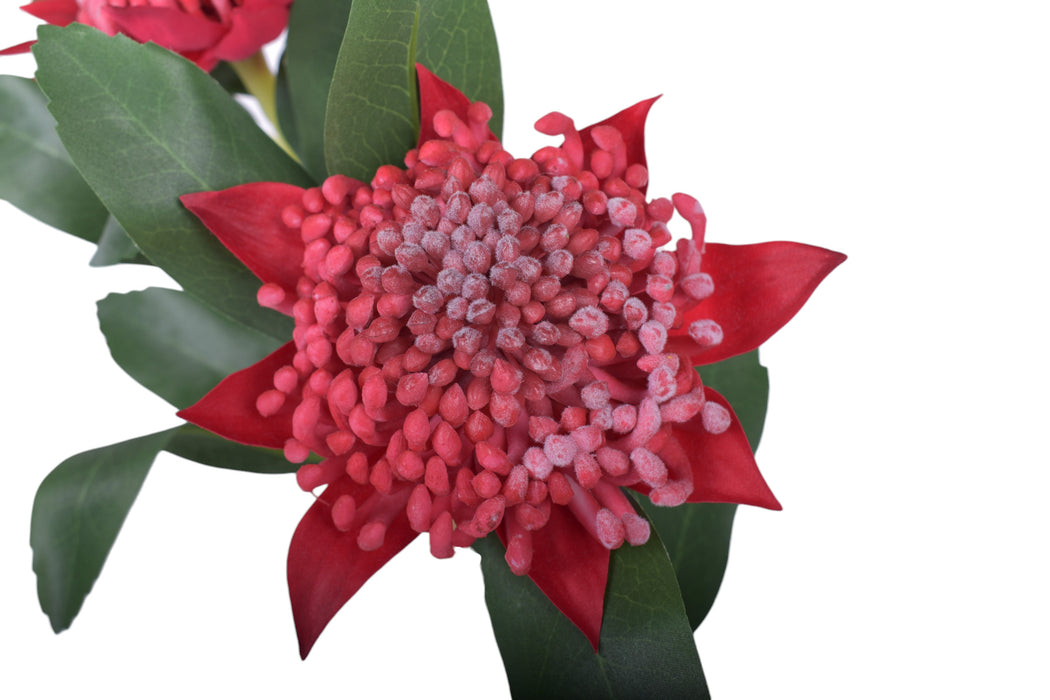 34" Waratah Flower-Red UV Protected    FL1054UV