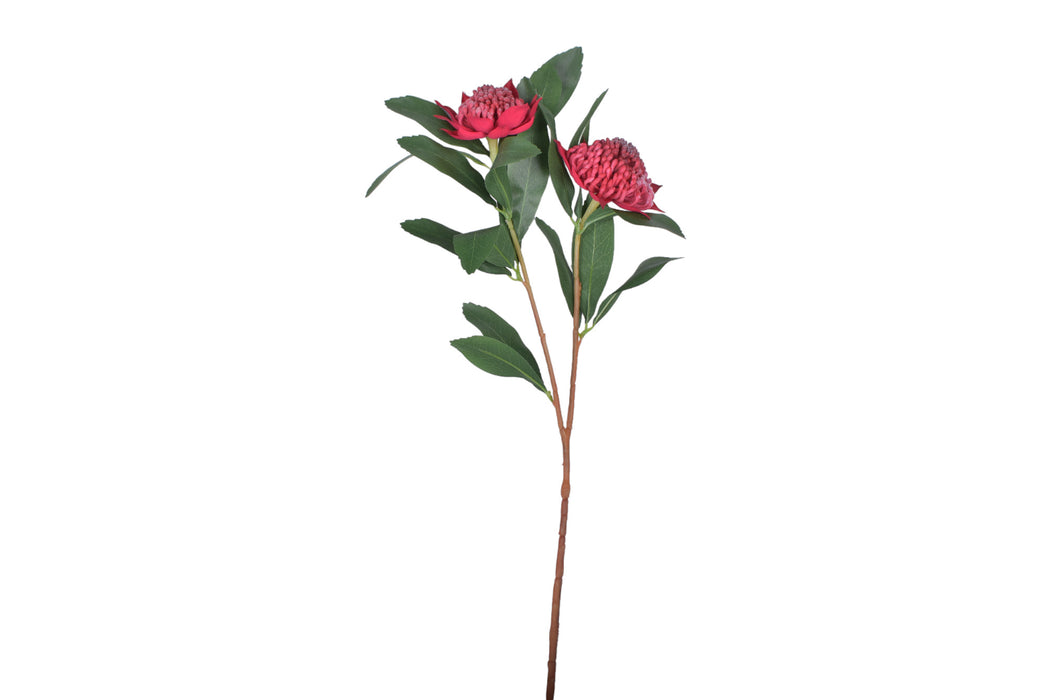34" Waratah Flower-Red UV Protected    FL1054UV