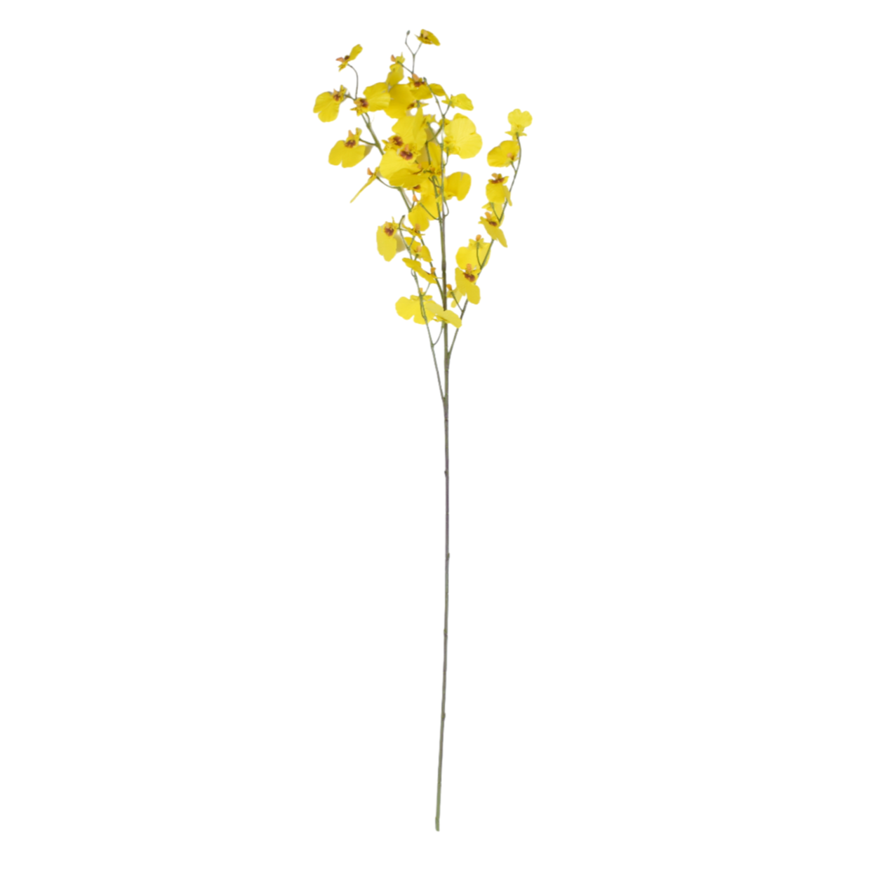 38" Real Touch Yellow Oncidium   FL1060