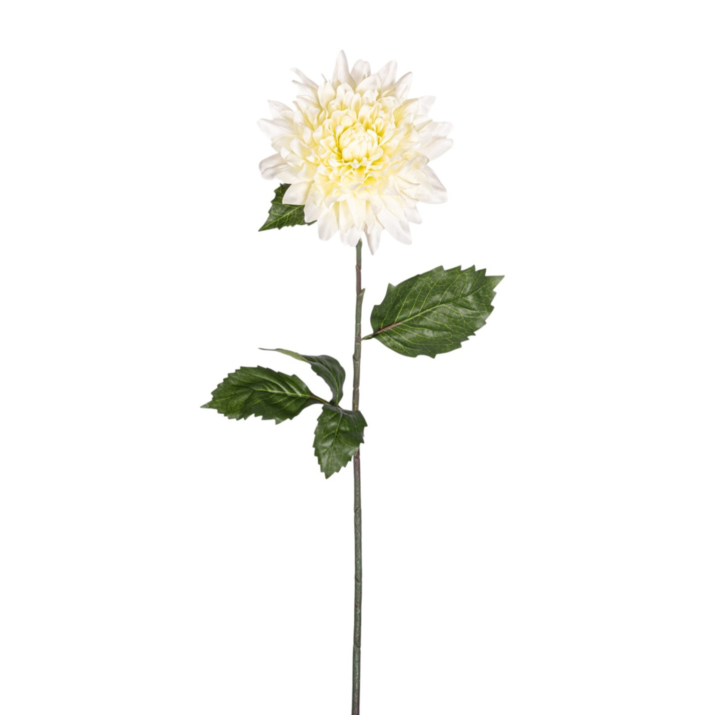 31" Giant Dahlia Stem  FL1069