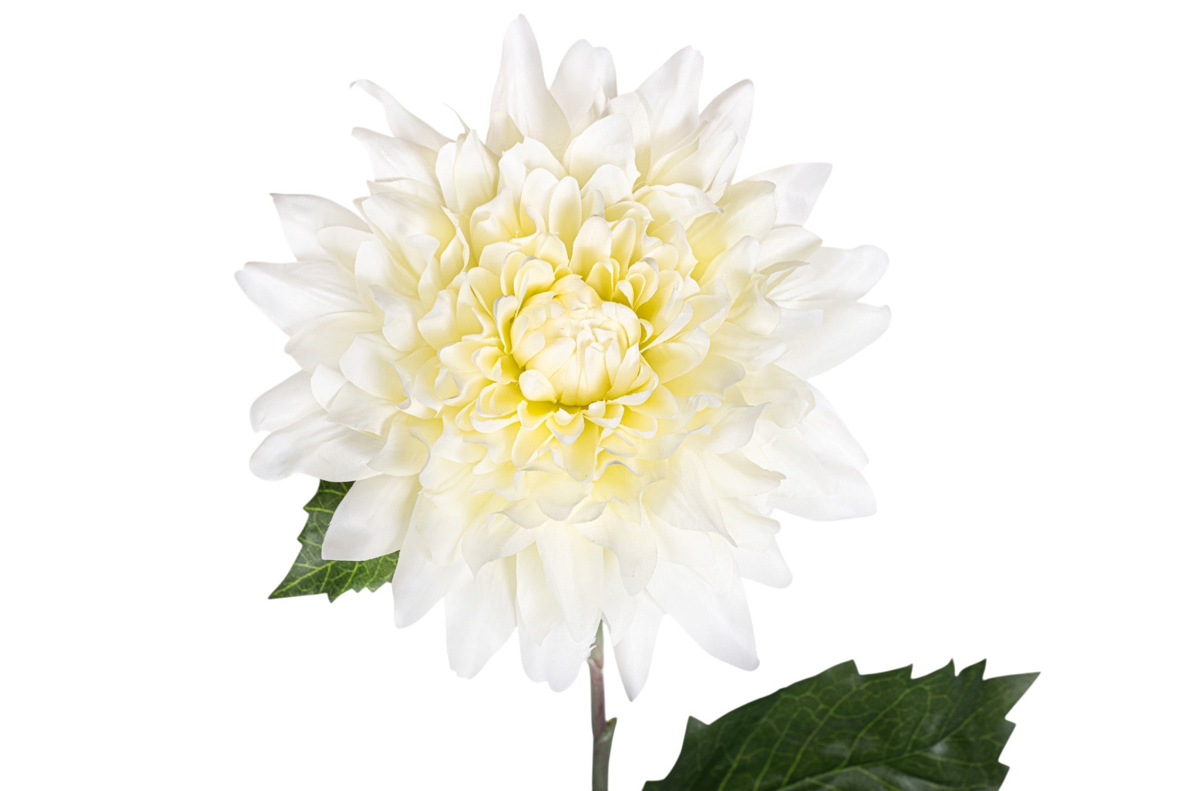 31" Giant Dahlia Stem  FL1069
