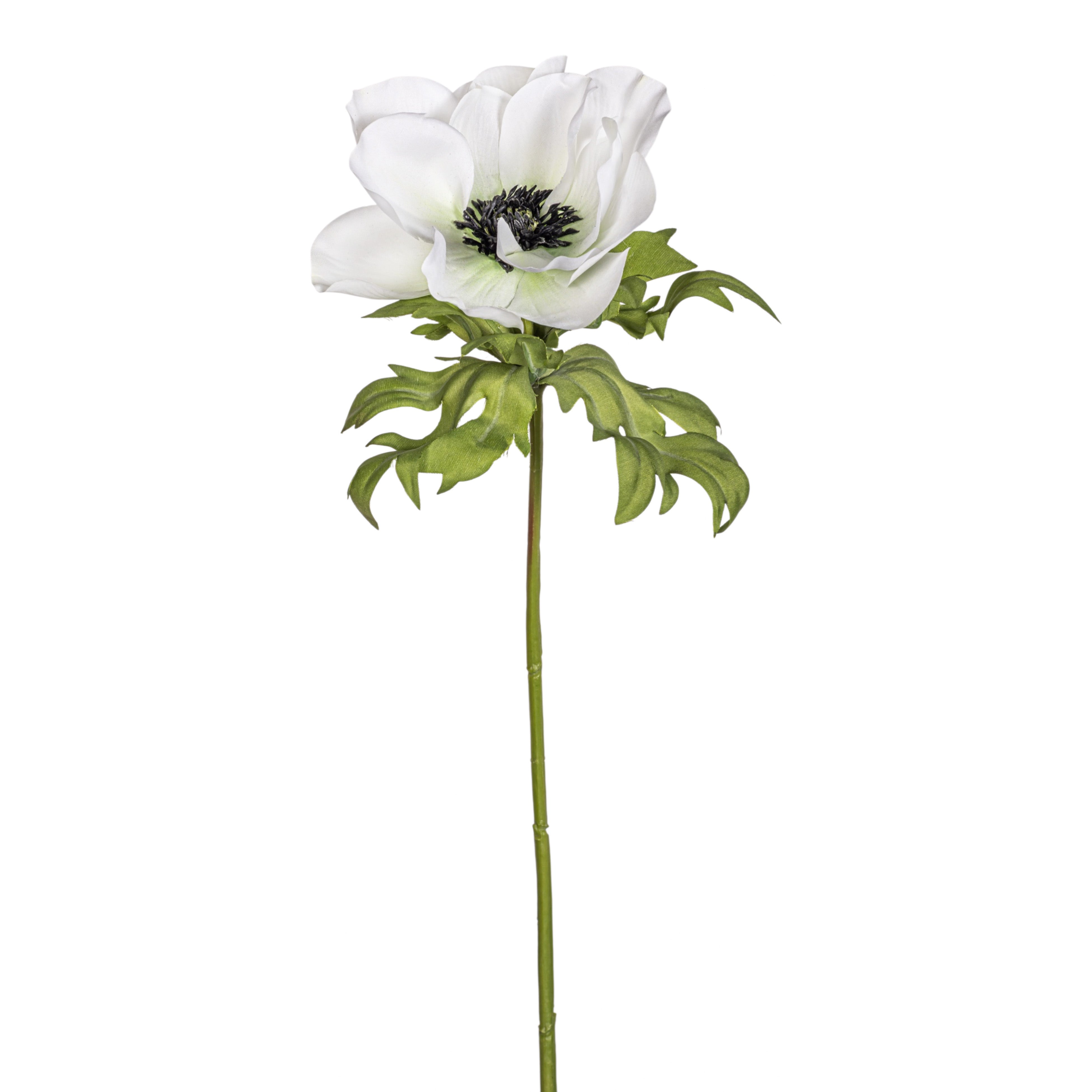 17.5" Anemone Stem  FL1070