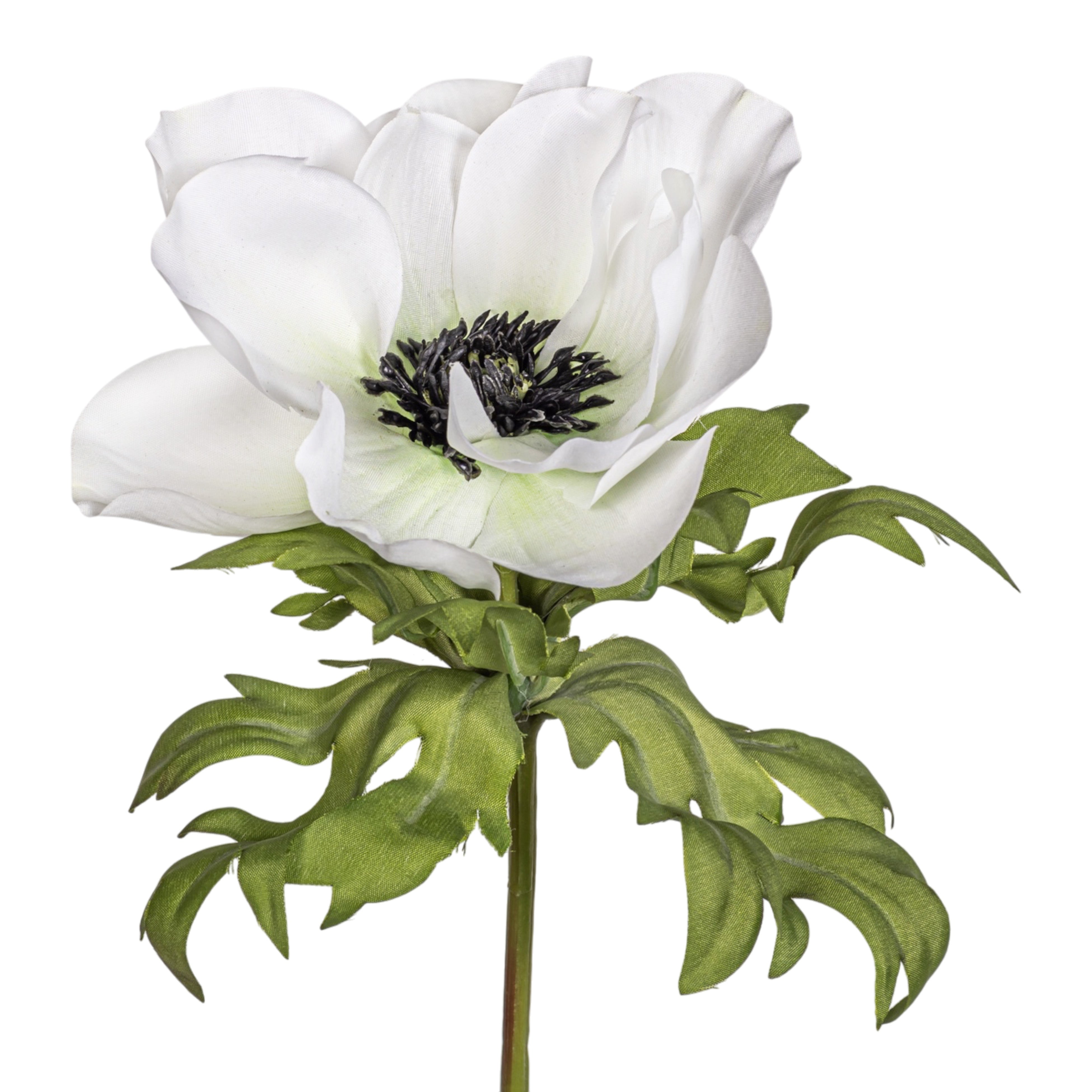 17.5" Anemone Stem  FL1070