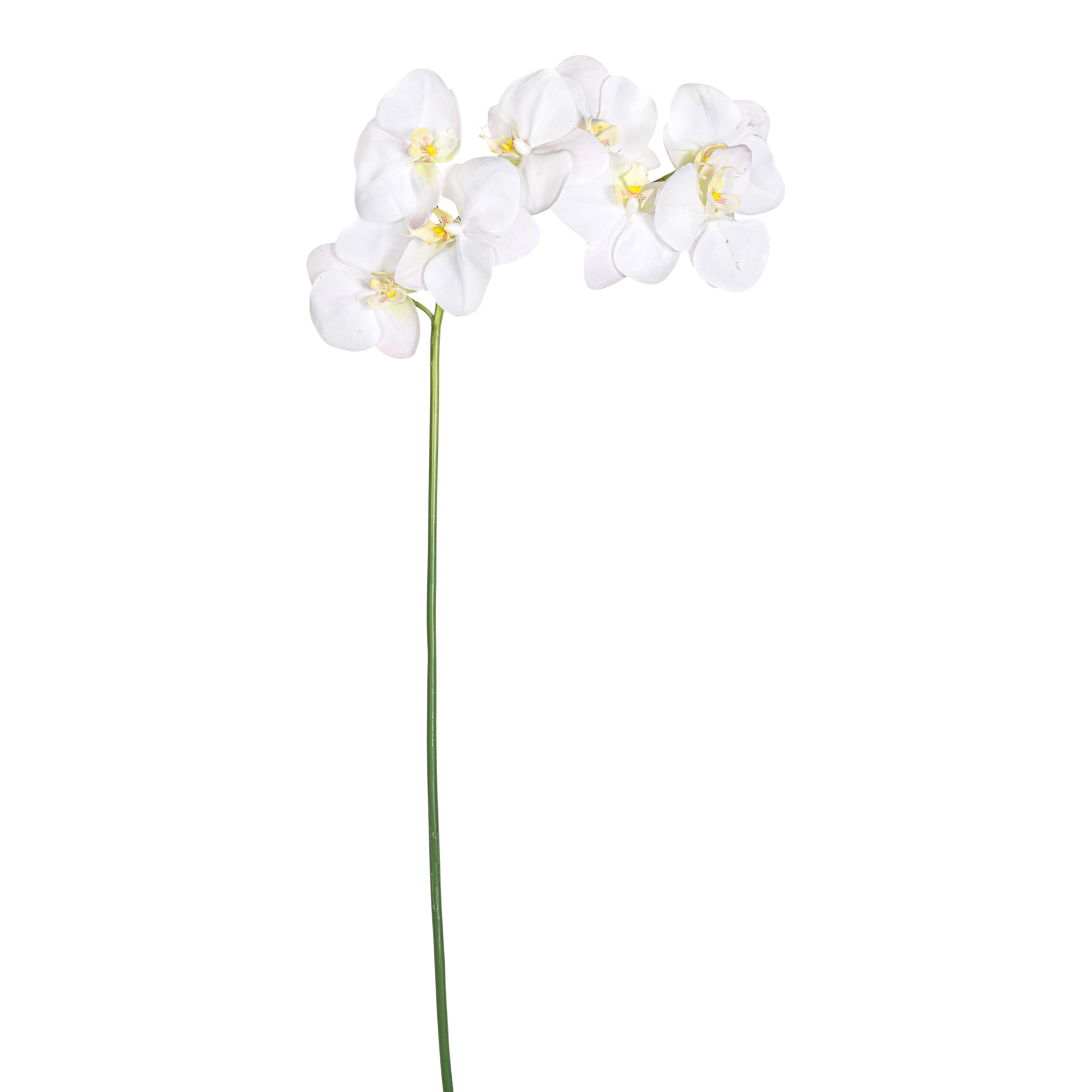 37" Orchid Stem  FL1072