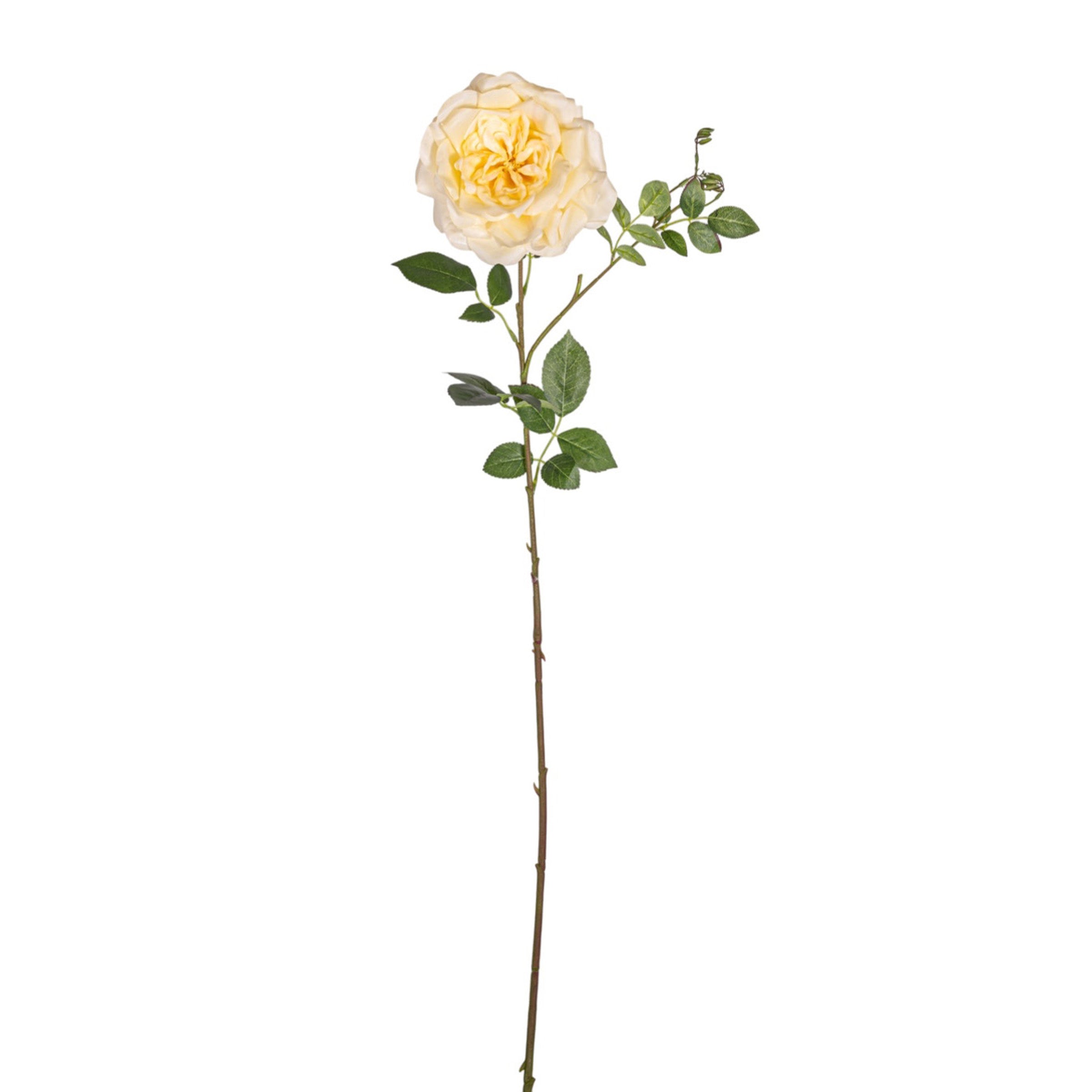 38" Rose Stem  FL1073