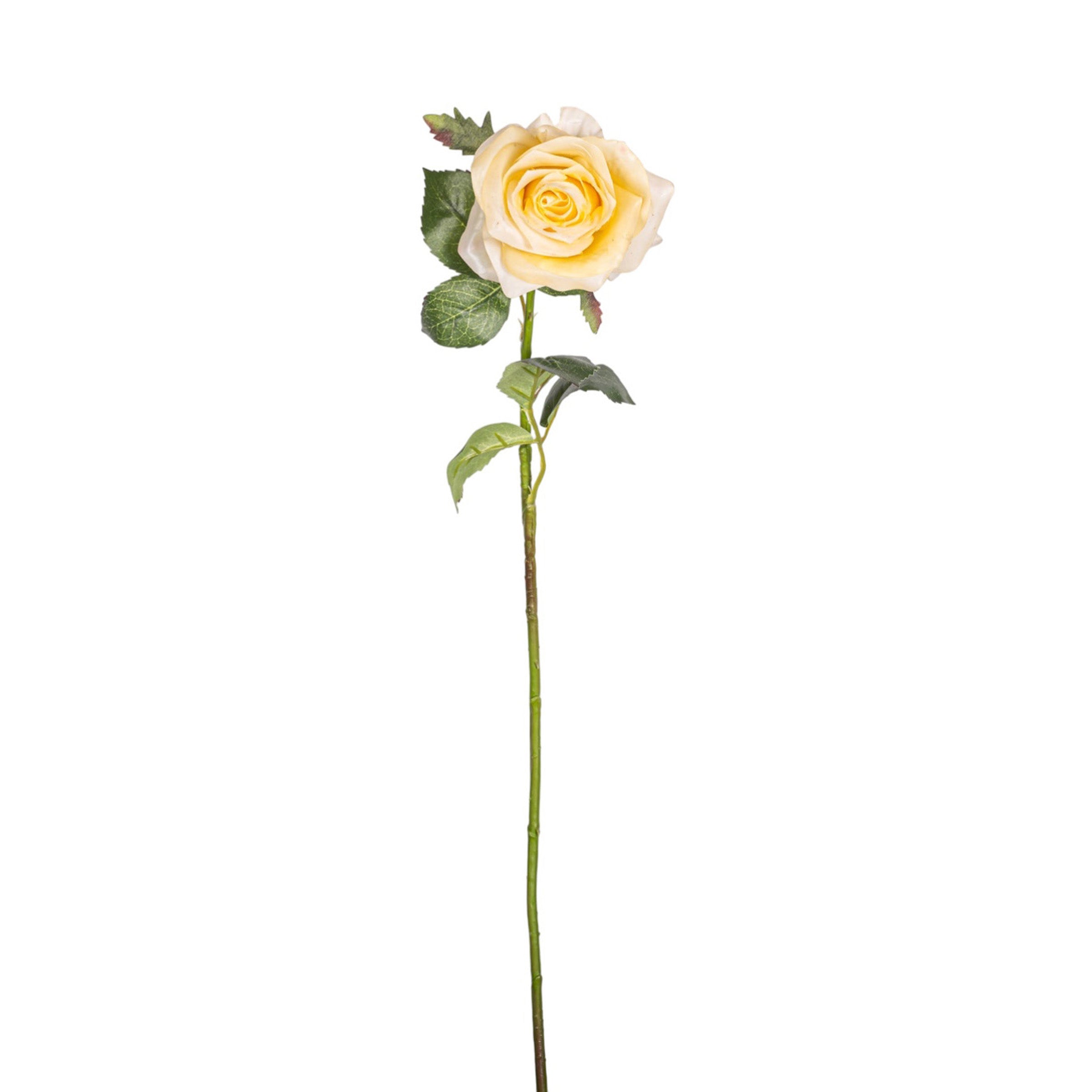 21" Rose Stem  FL1074