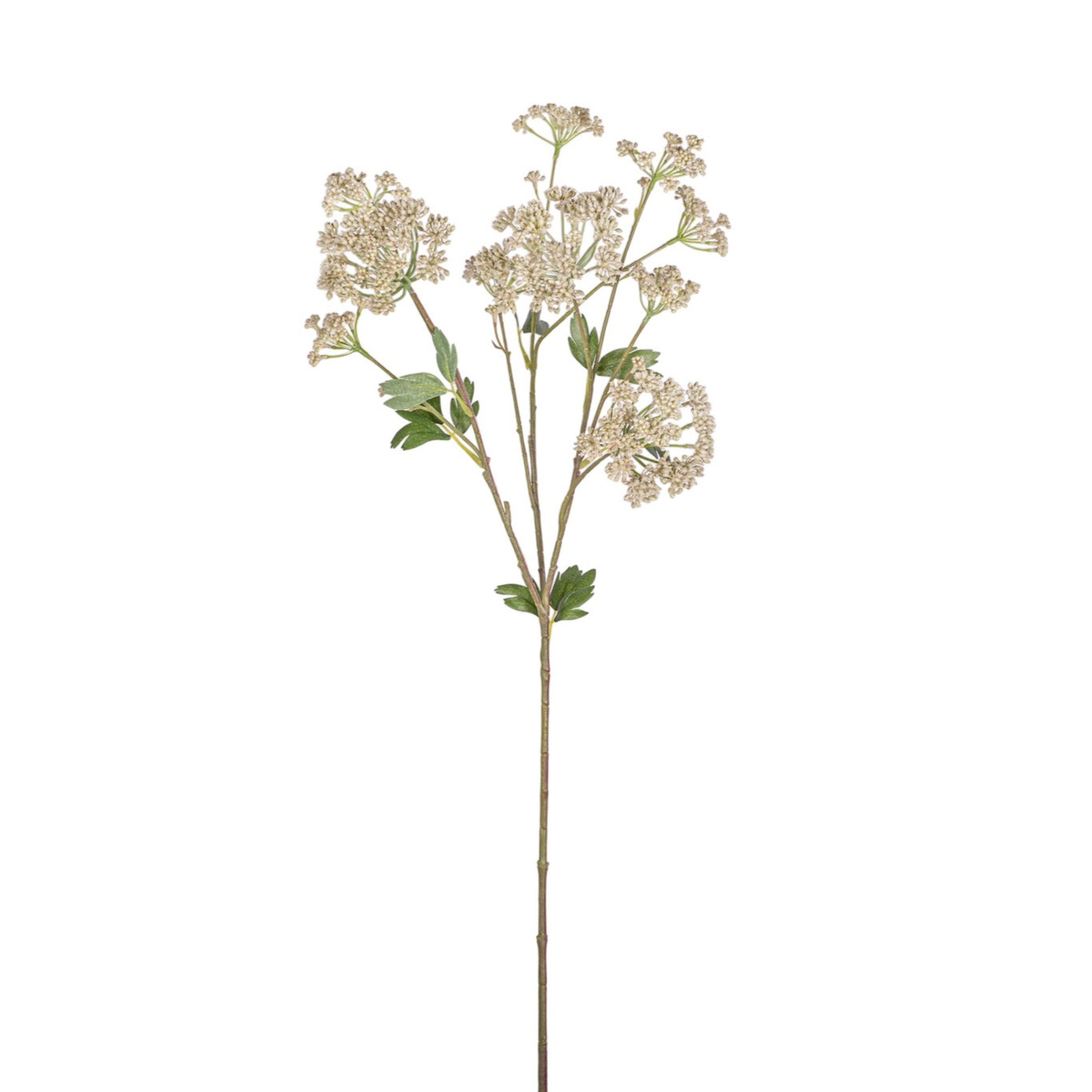 34" Angelica Flower Stem  FL1077