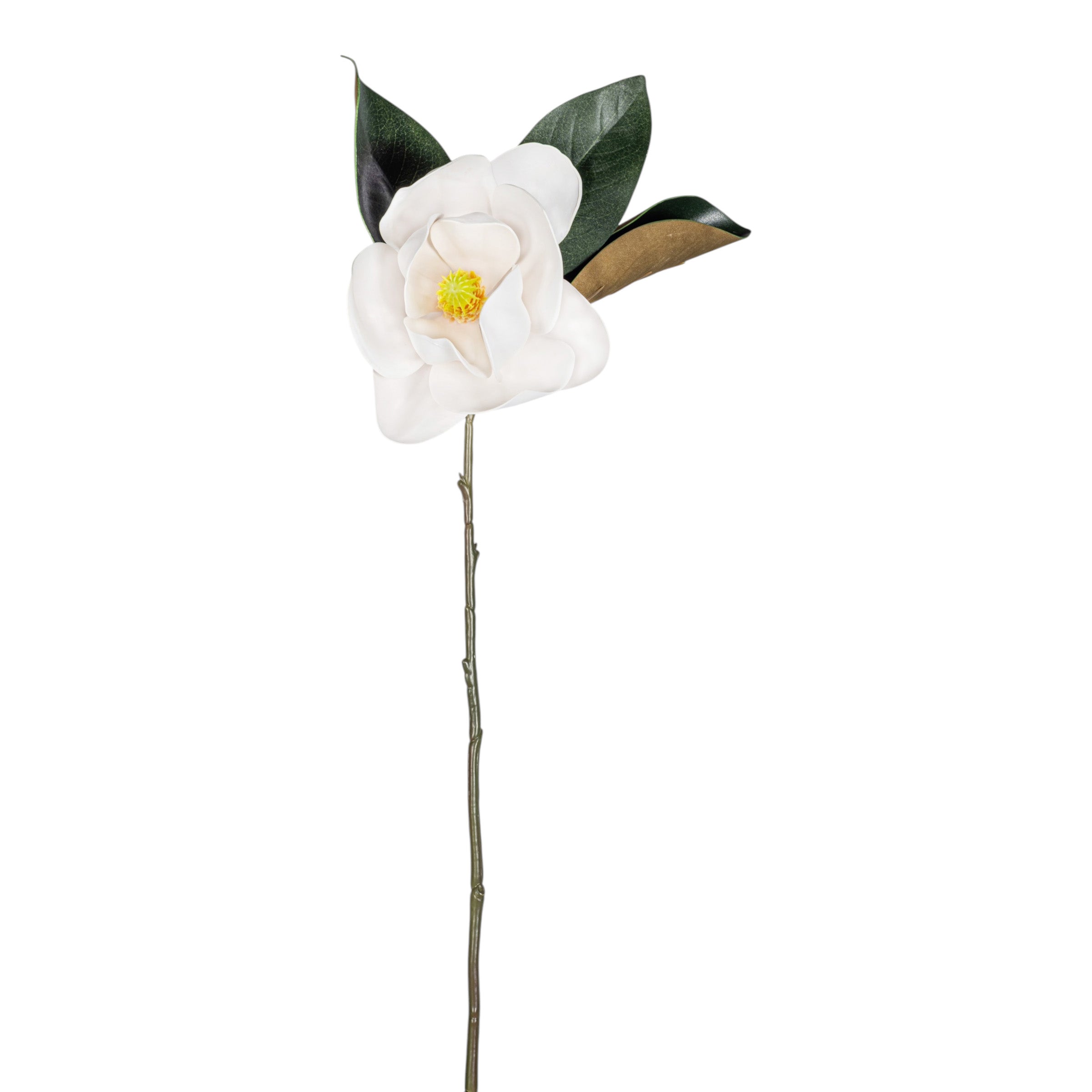 26" Magnolia Stem  FL1078