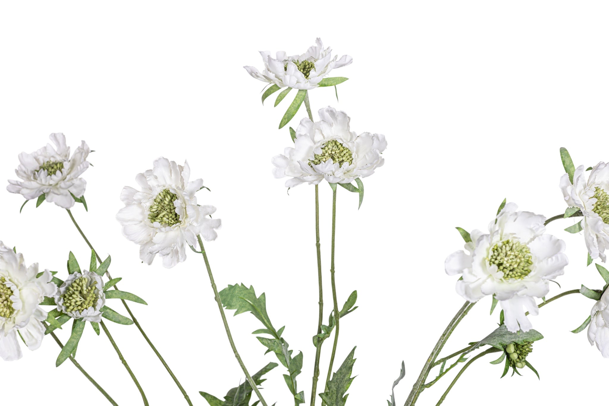 25" Pincushion Flower Spray FL1080