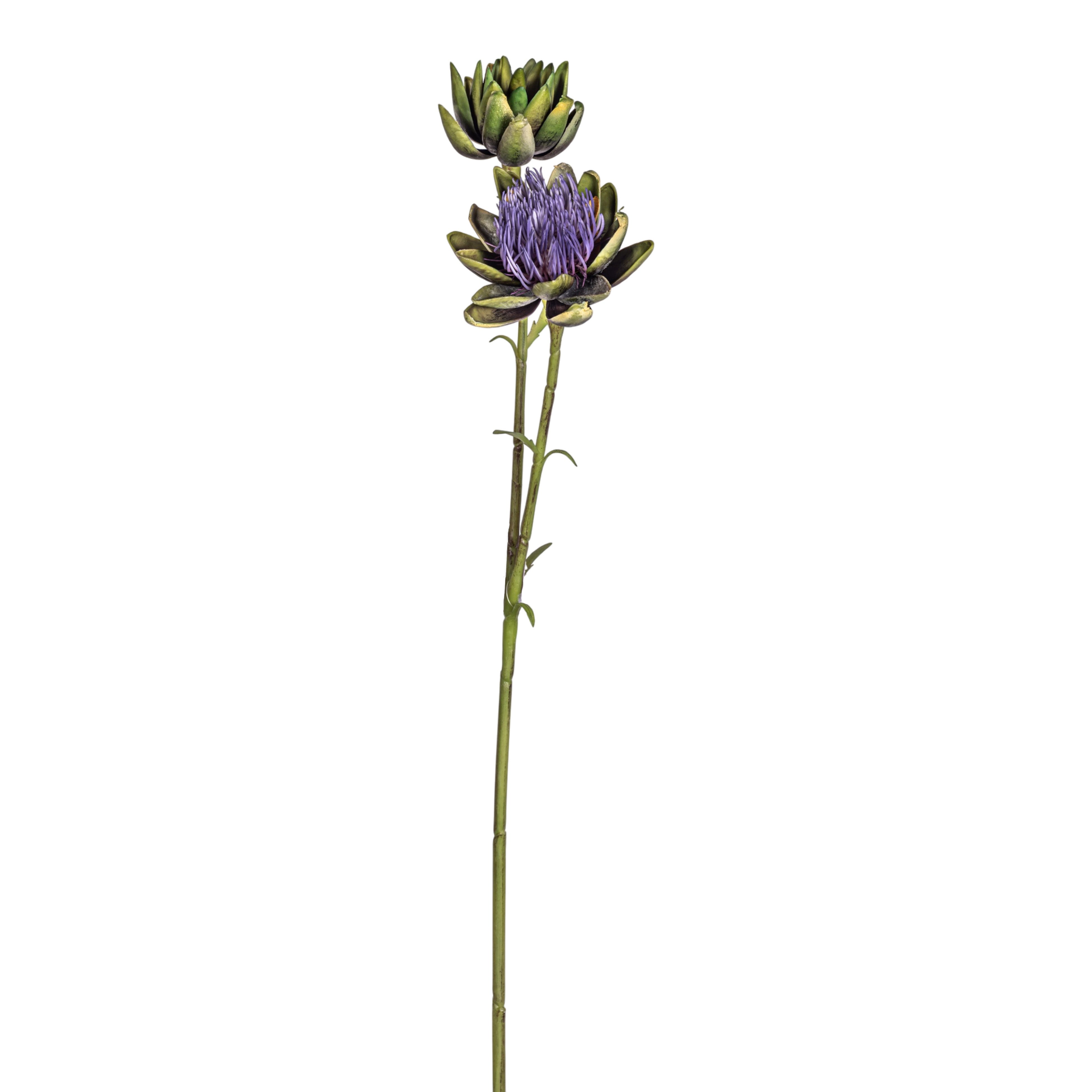 32"  Artichoke Flower Stem   FL1083