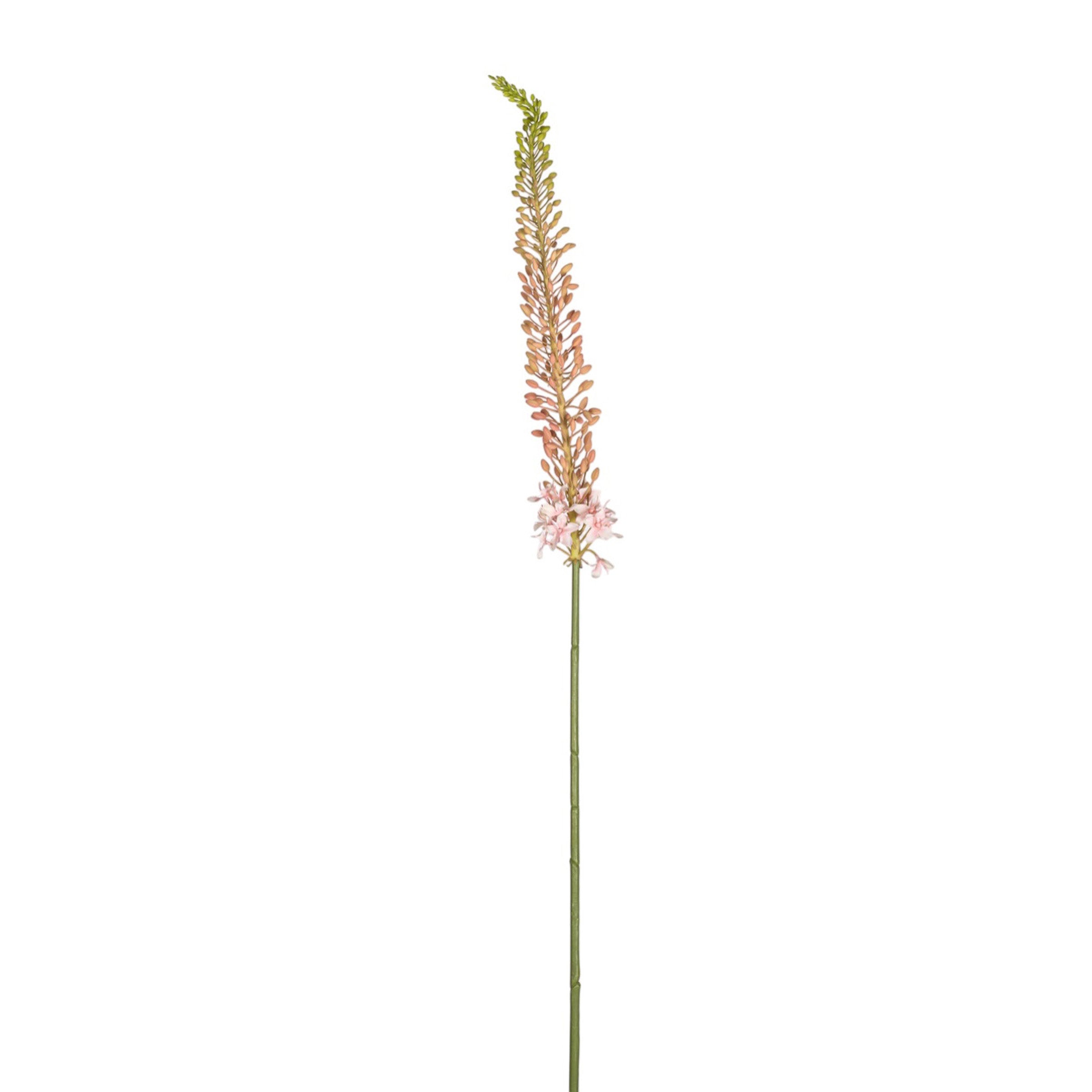 44" Foxtail Lily Stem   FL1087