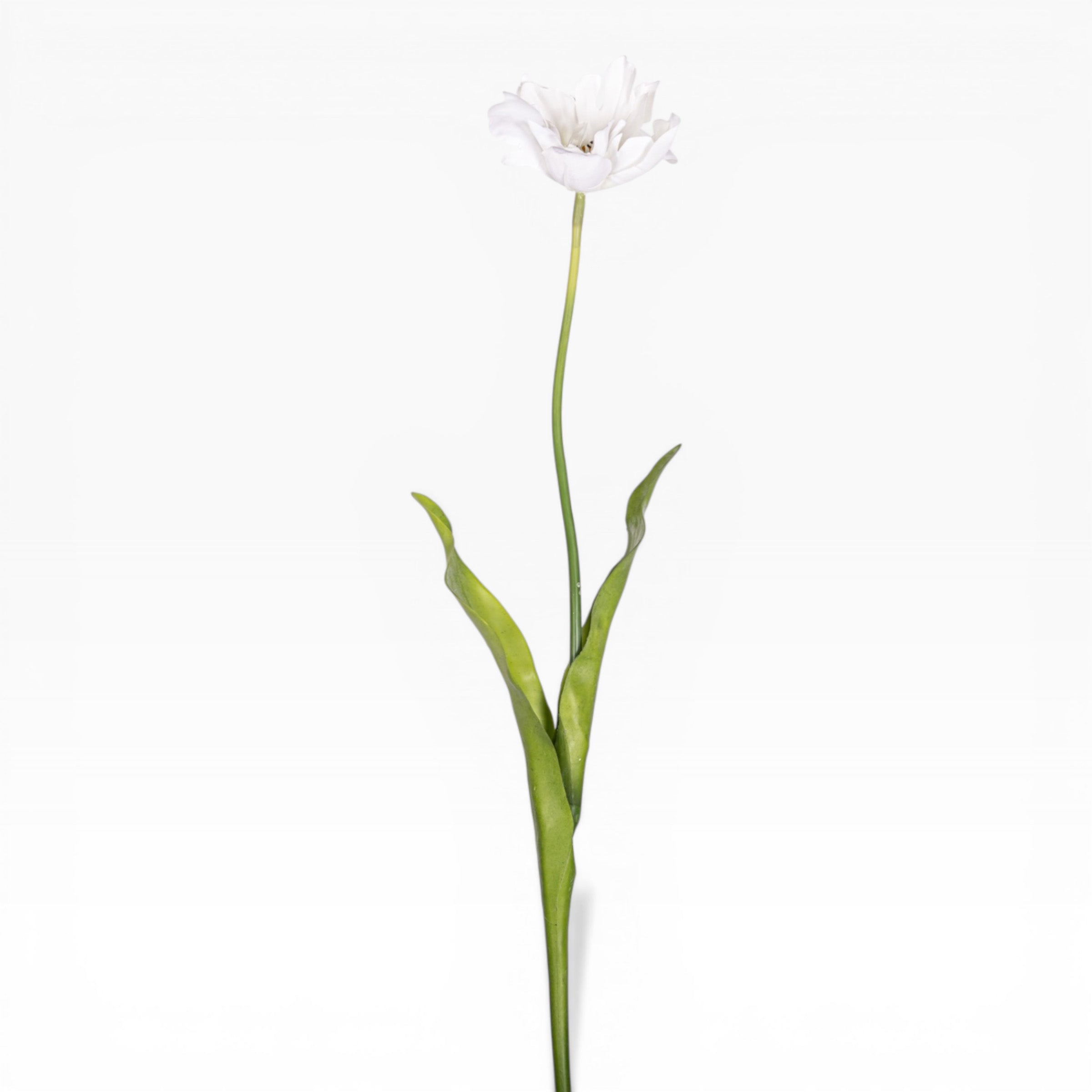 28" Parrot Tulip Stem  FL1092