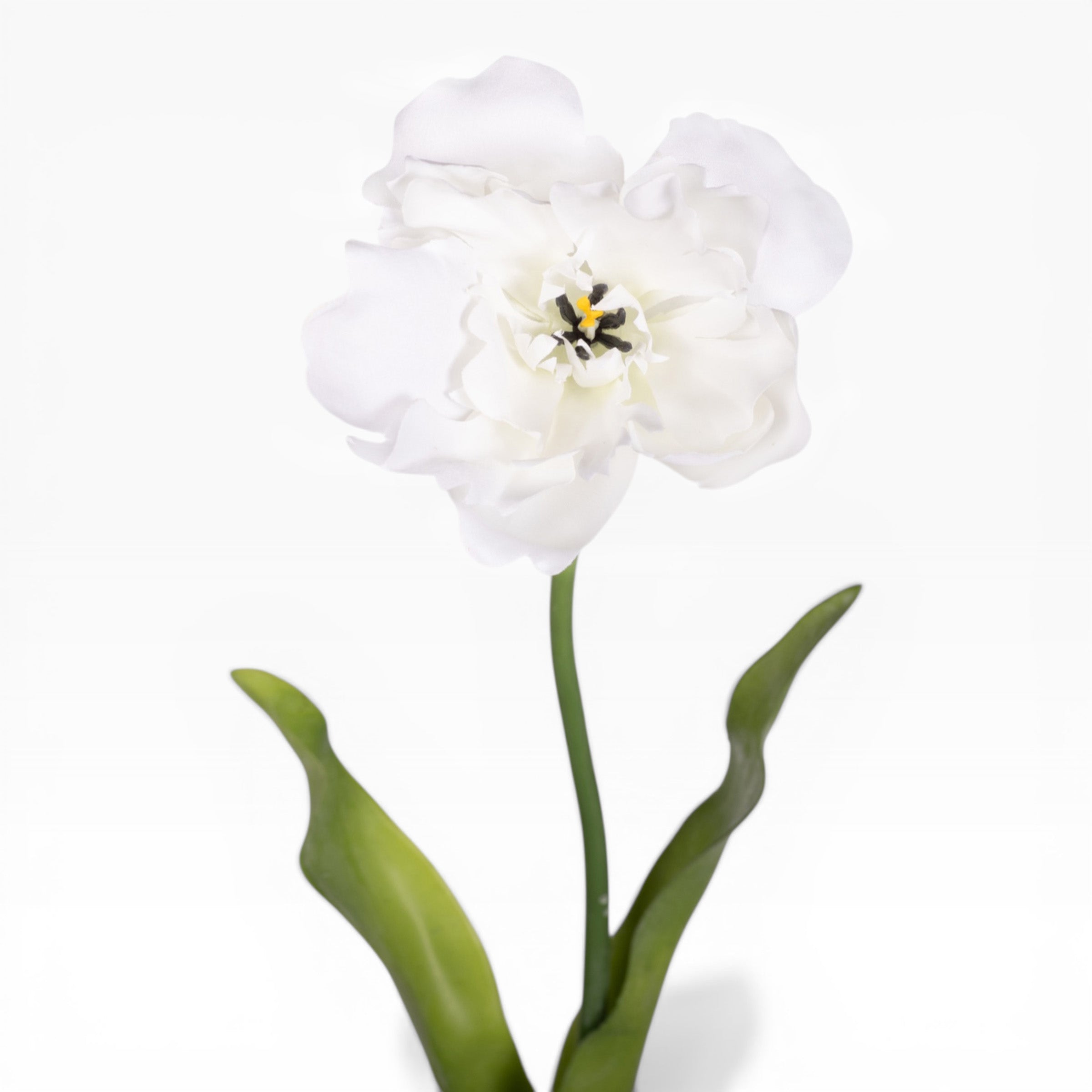 21" Parrot Tulip Stem   FL1093