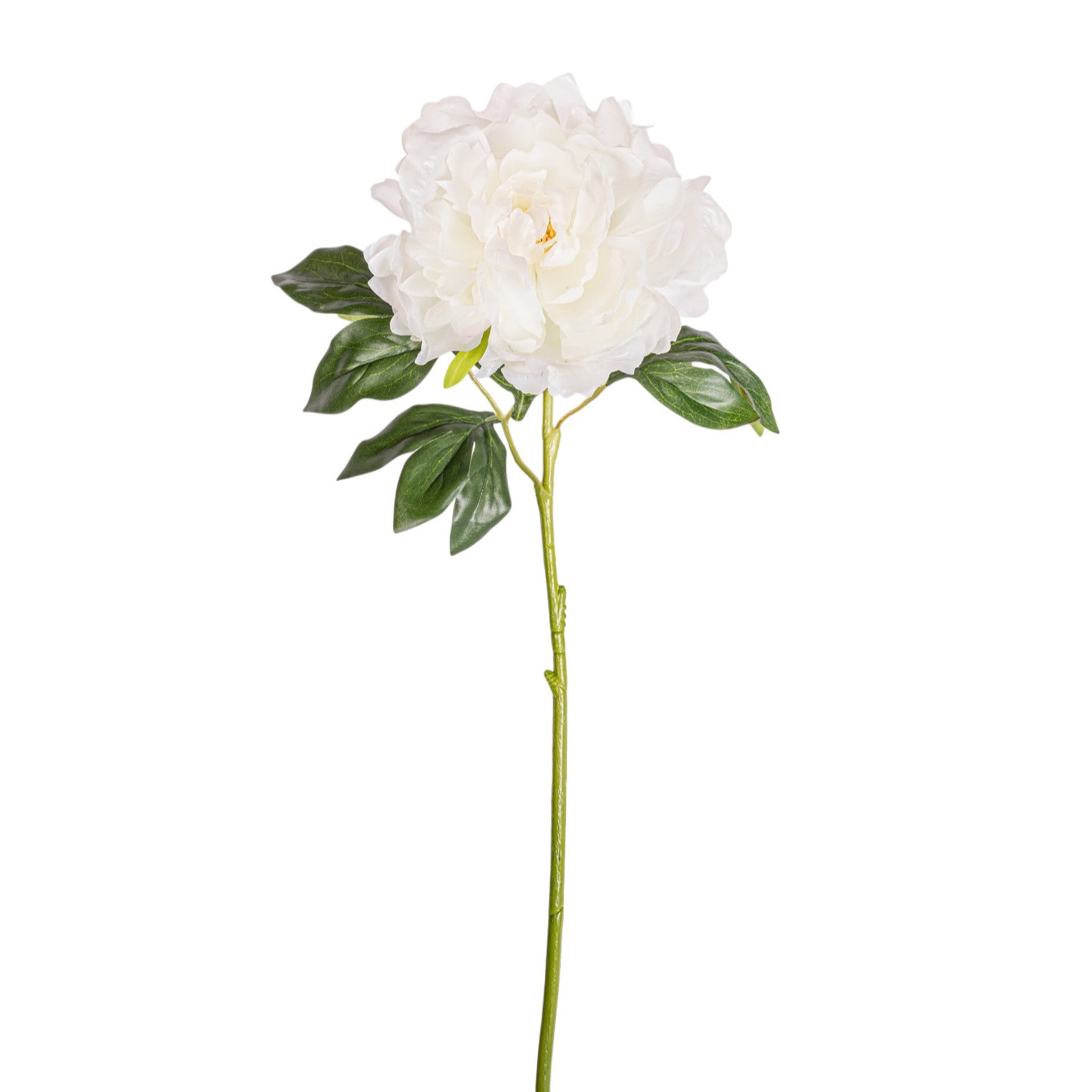 24" Peony Stem - White  FL1096