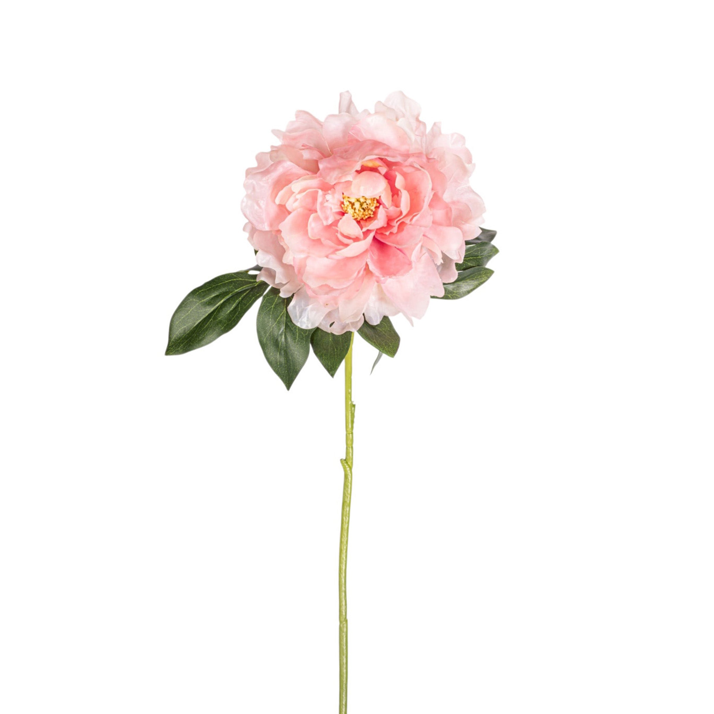 24" Peony Stem - Pink   FL1098
