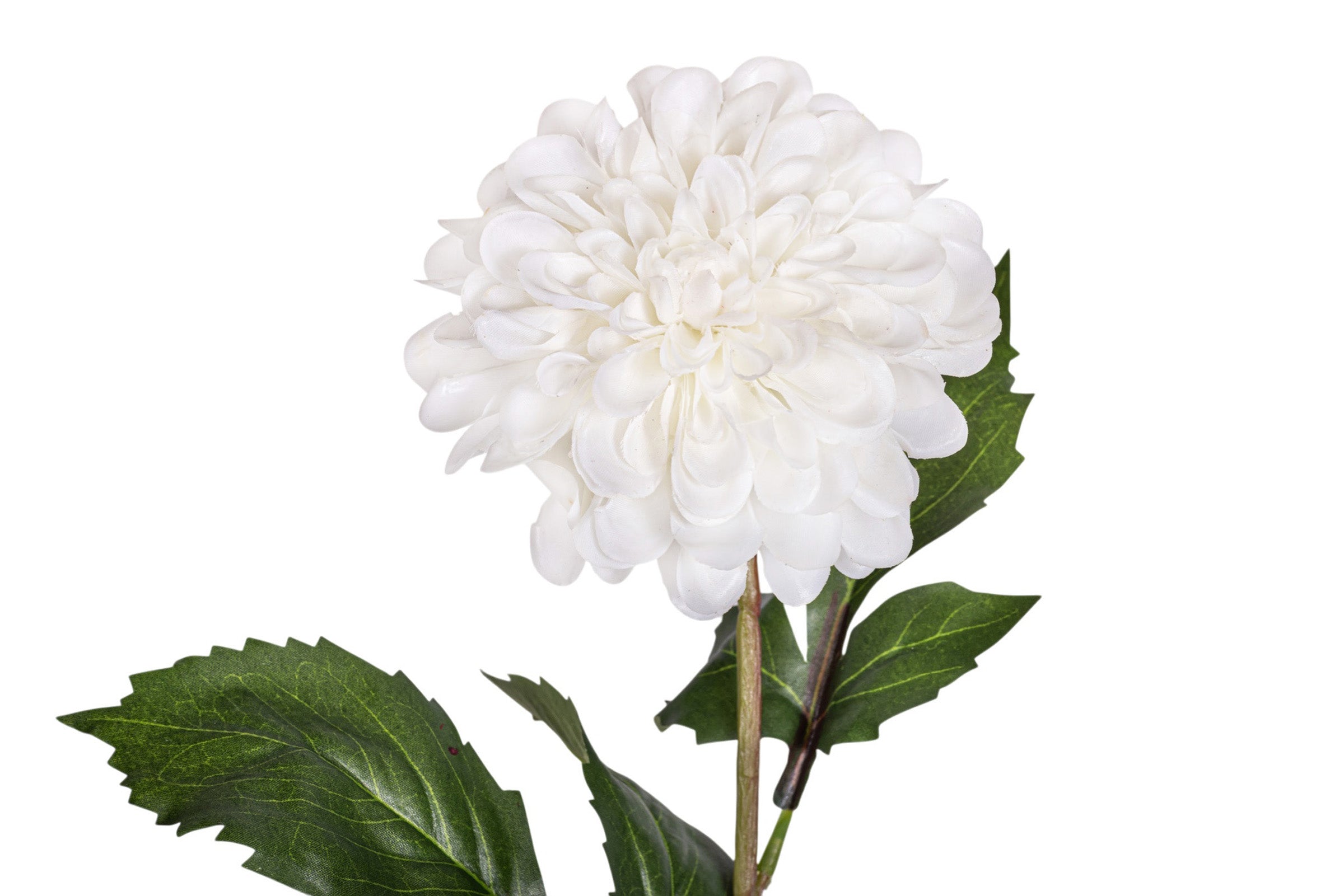 25.5" Real Touch Hillcrest Dahlia - White   FL1102