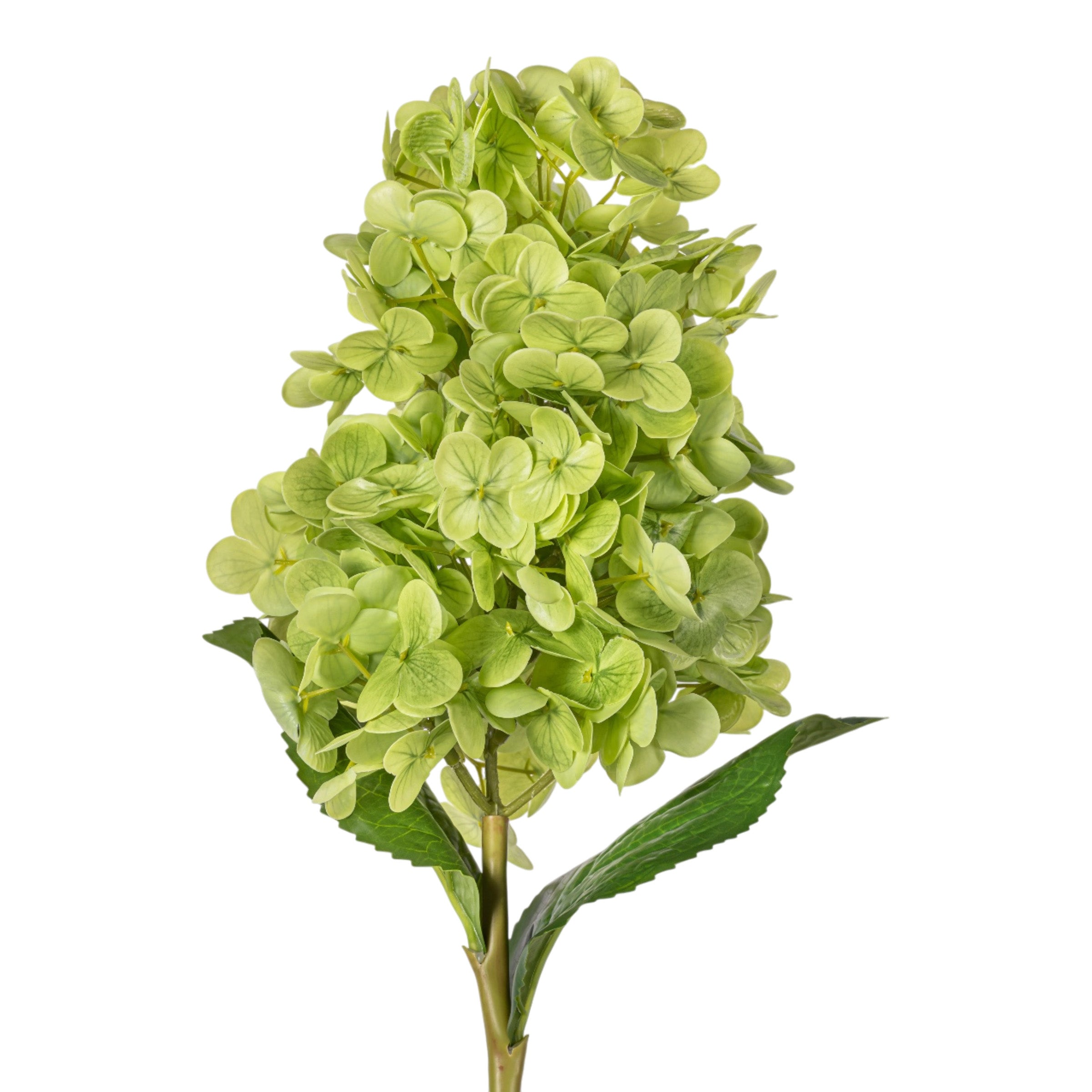 28" Green Cone Hydrangea Stem - Real Touch FL1109