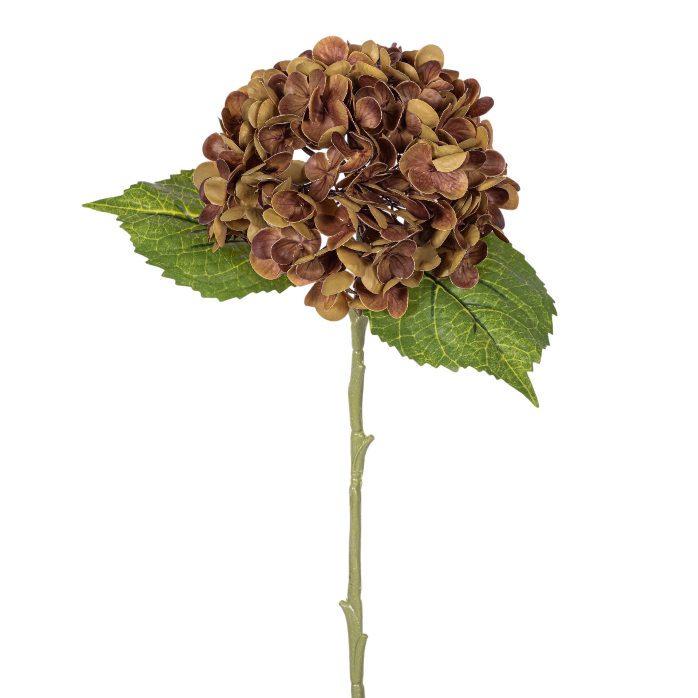 20" Brown Hydrangea Stem - Real Touch FL1113