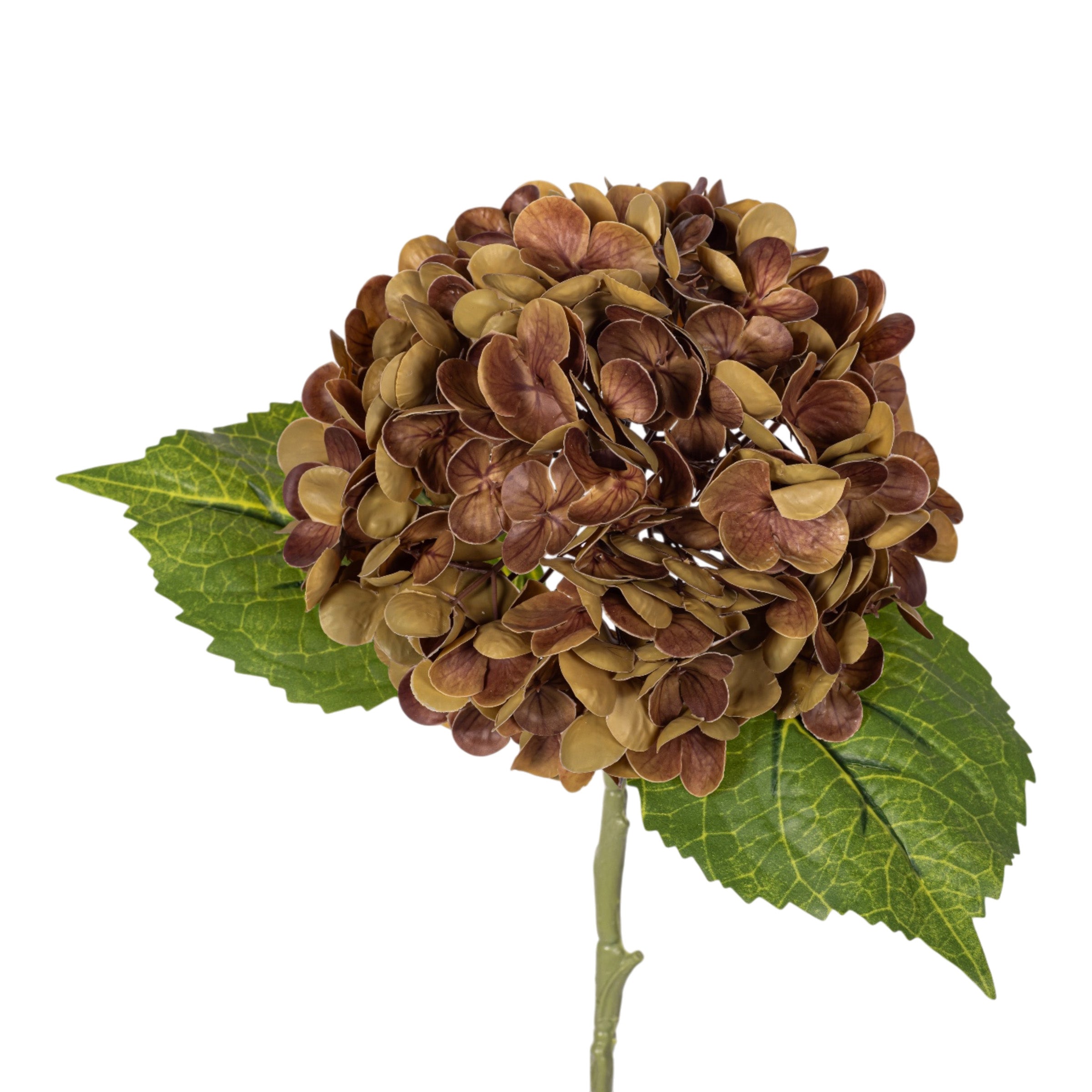 20" Brown Hydrangea Stem - Real Touch FL1113