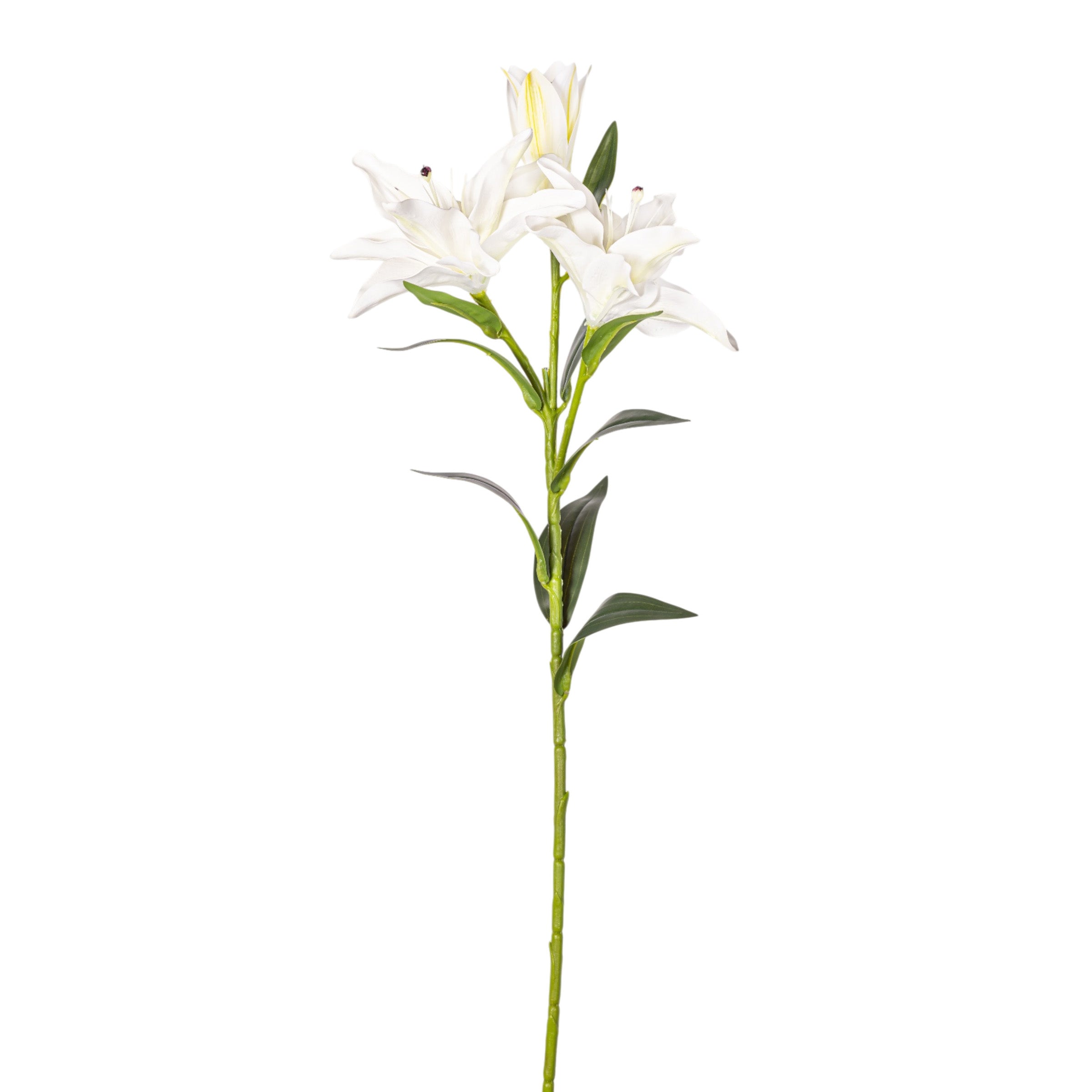 30" Casa Blanca Lily Stem - Real Touch   FL1128