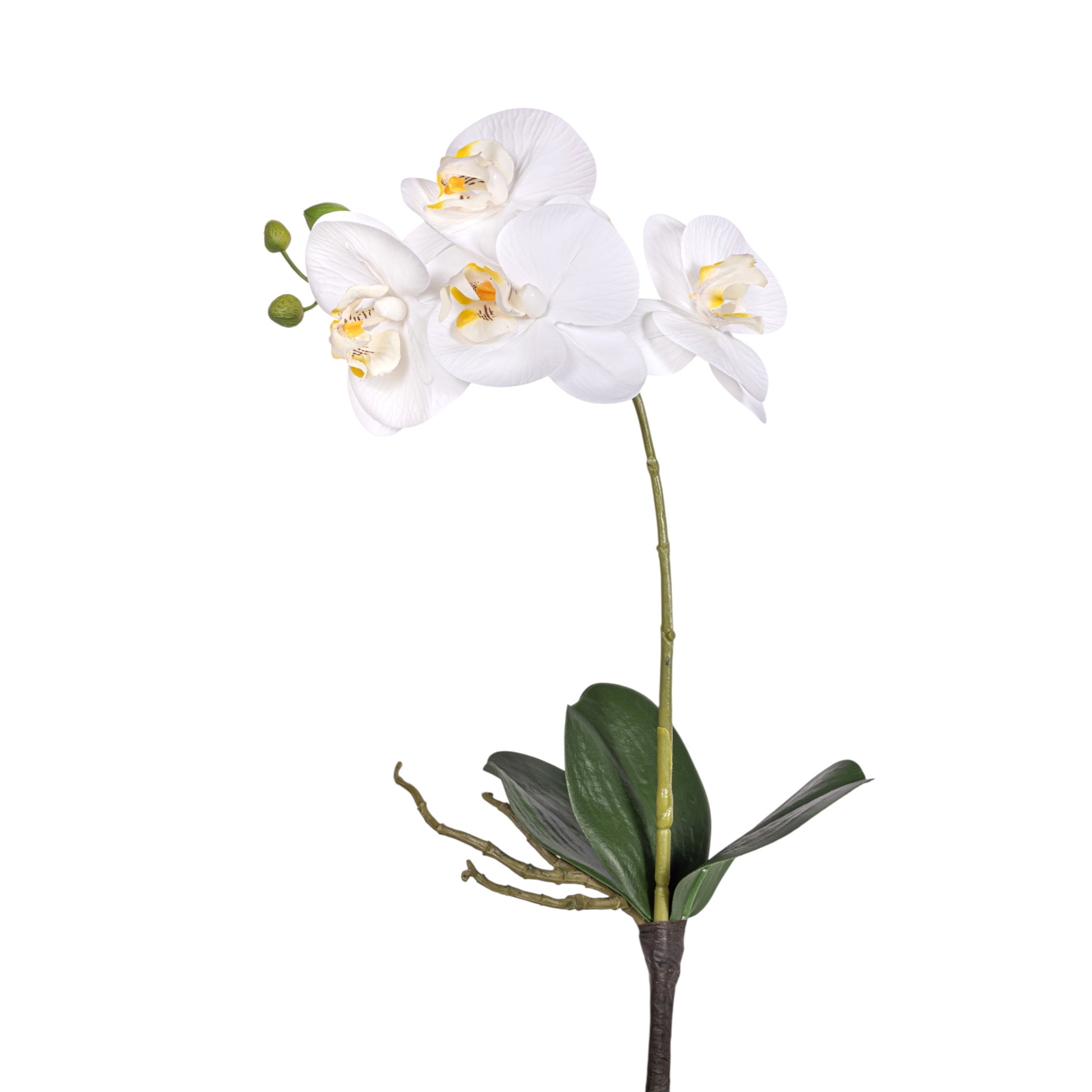 15" Real Touch White Phalaenopsis Orchid    FL1137
