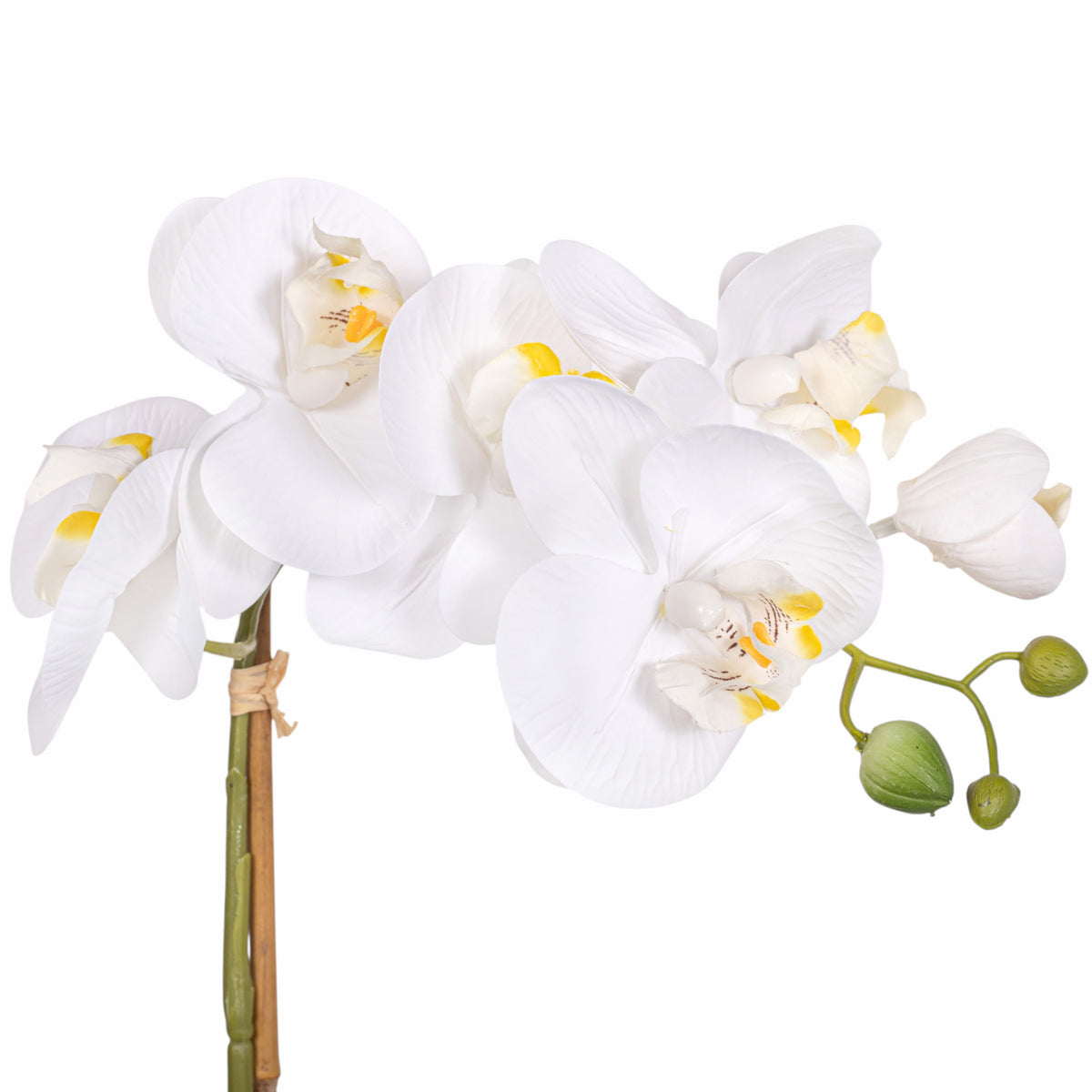 20" Real Touch White Phalaenopsis Orchid    FL1139