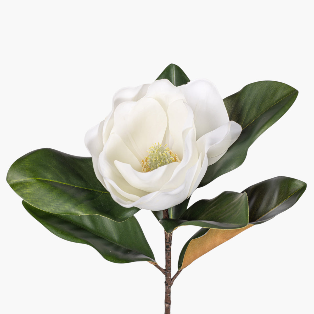 23" Real Touch White Magnolia Flower   FL1140