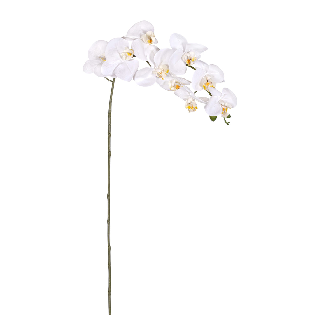 41" Real Touch White Phalaenopsis Orchid    FL1142
