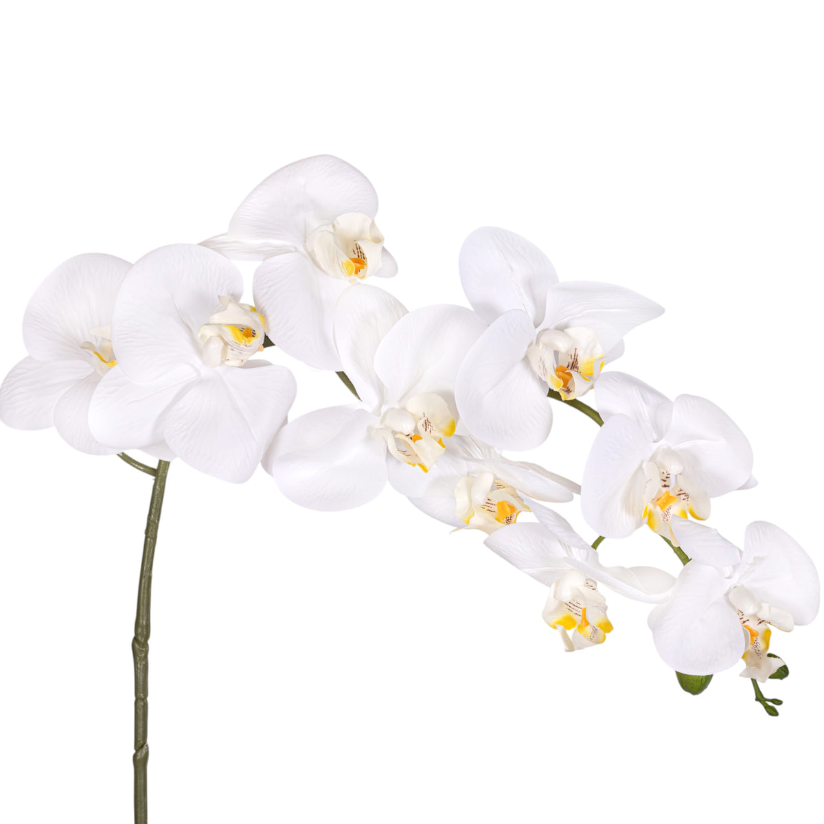 41" Real Touch White Phalaenopsis Orchid    FL1142