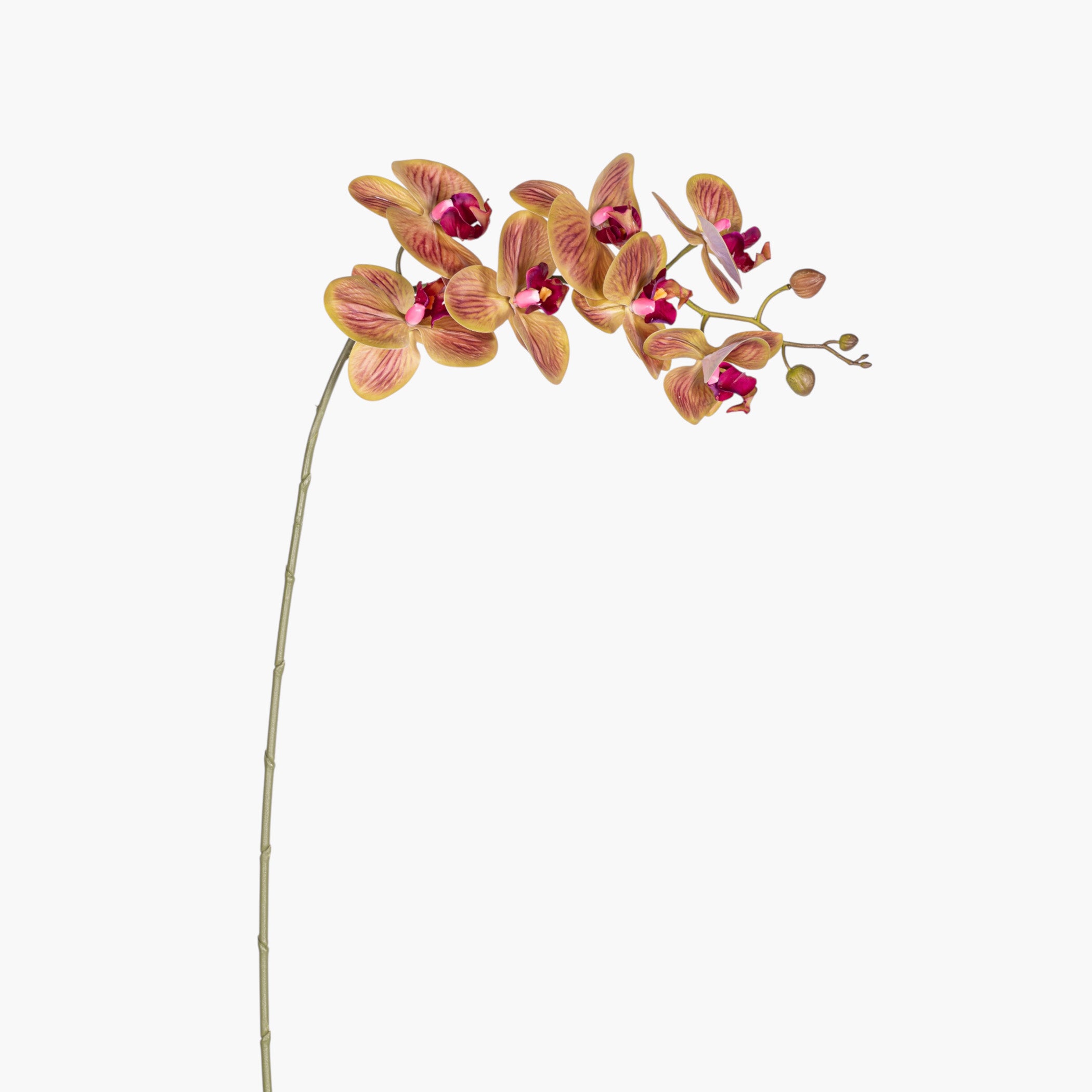 34" Real Touch Brown Phalaenopsis Orchid    FL1143