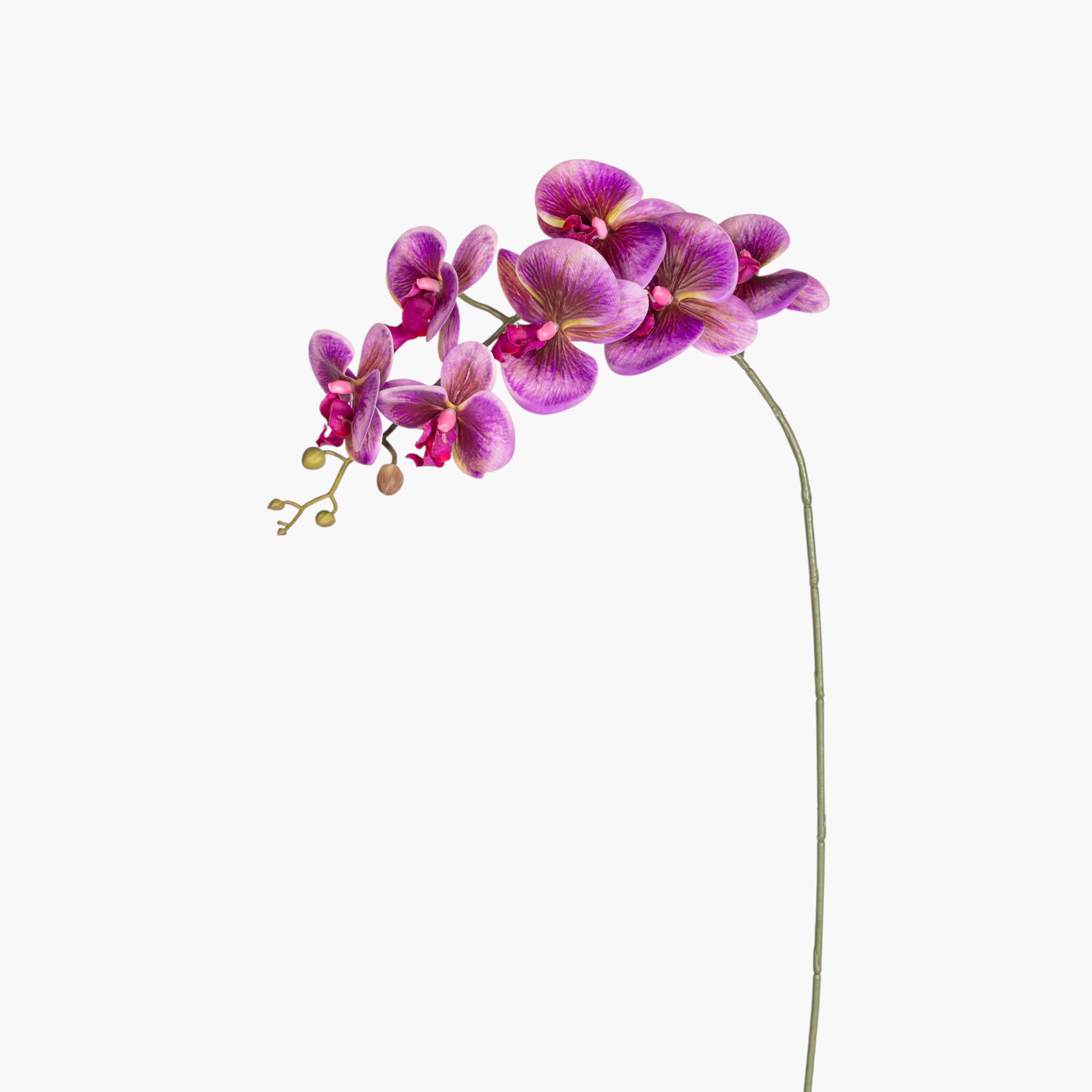 34" Real Touch Purple Phalaenopsis Orchid    FL1145