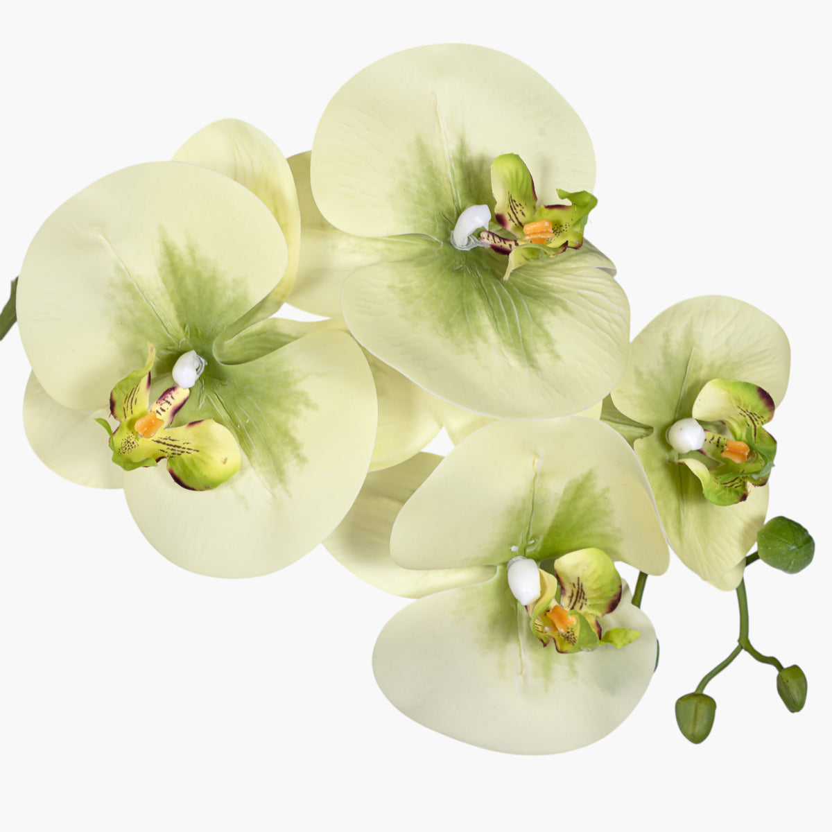 46" Real Touch Green Phalaenopsis Orchids   FL1147