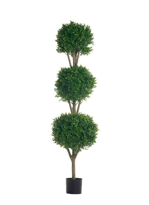 Boxwood Topiary- UV Treated FP1015 UV