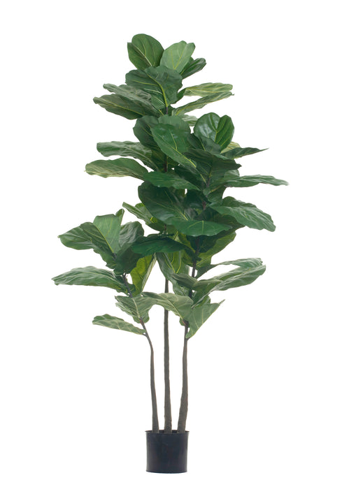 6' Fiddle Leaf Fig Tree- UV Protected       FP1287