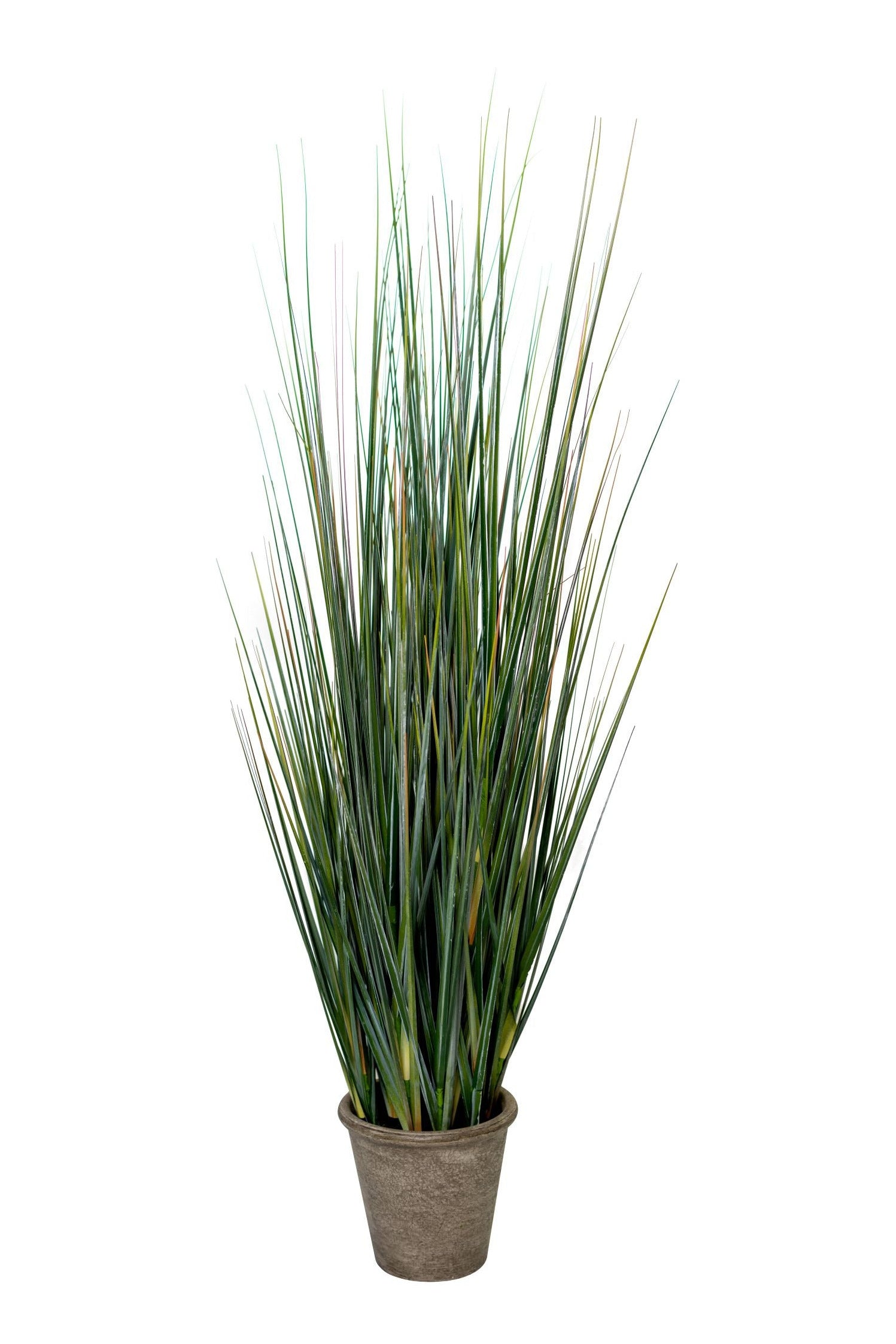 47" Grass Bush in Small Round Crux Planter with Reindeer Moss PC1193CN1392SM