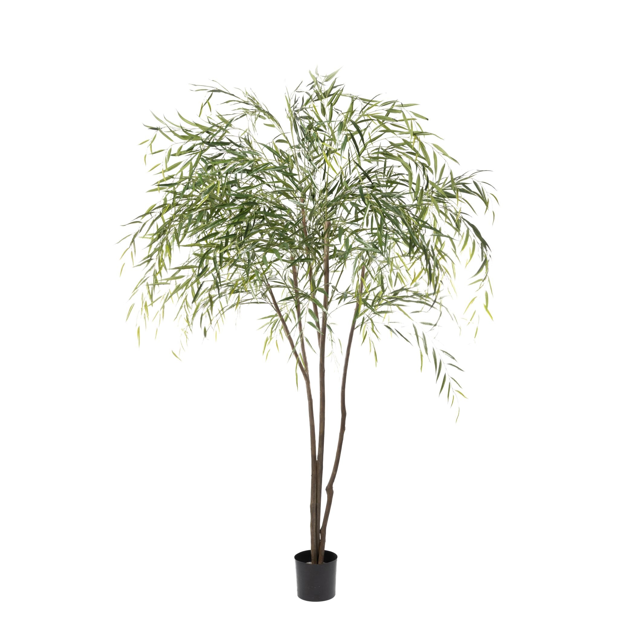 8' UV Treated Weeping Willow Tree in Hannah Planter with Spanish Moss