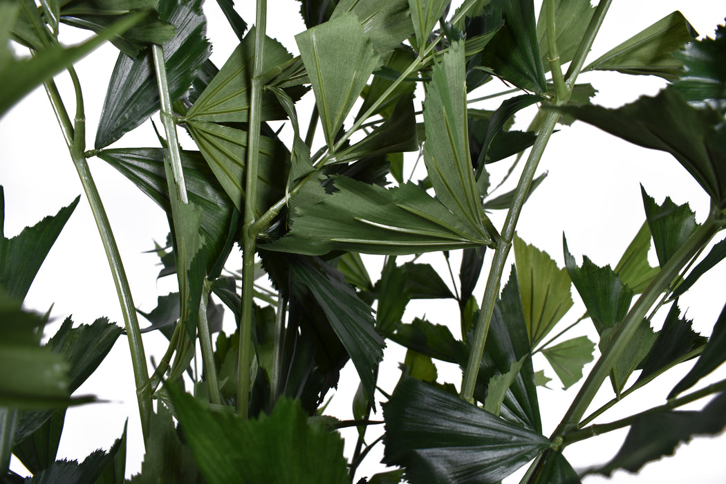7.5' Fishtail Palm   FP1250