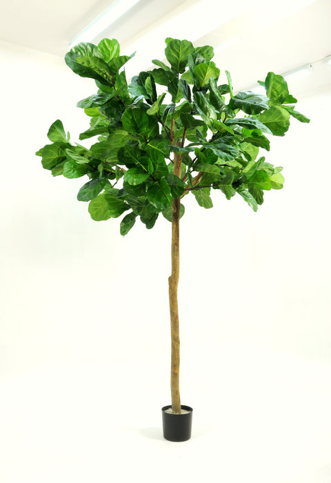 9' Giant Fiddle Leaf Fig Tree- UV Protected       FP1289