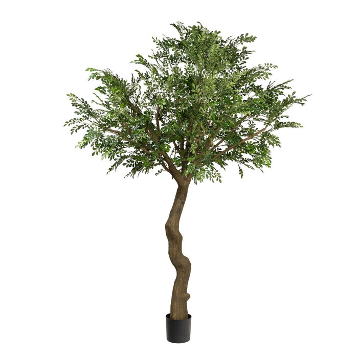 10' Murraye Tree- UV Protected      FP1294