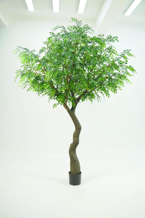 10' Murraye Tree- UV Protected      FP1294