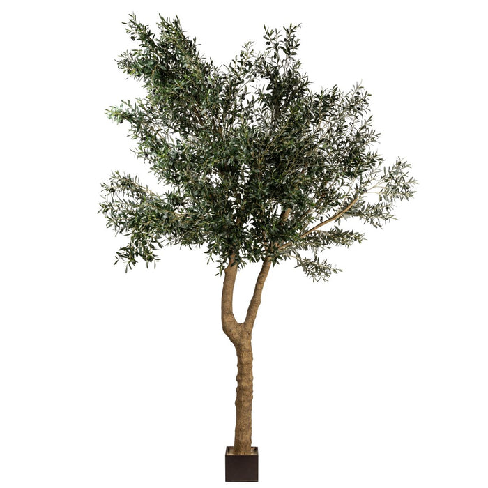 11.5' Giant Olive Tree- UV Protected       FP1299