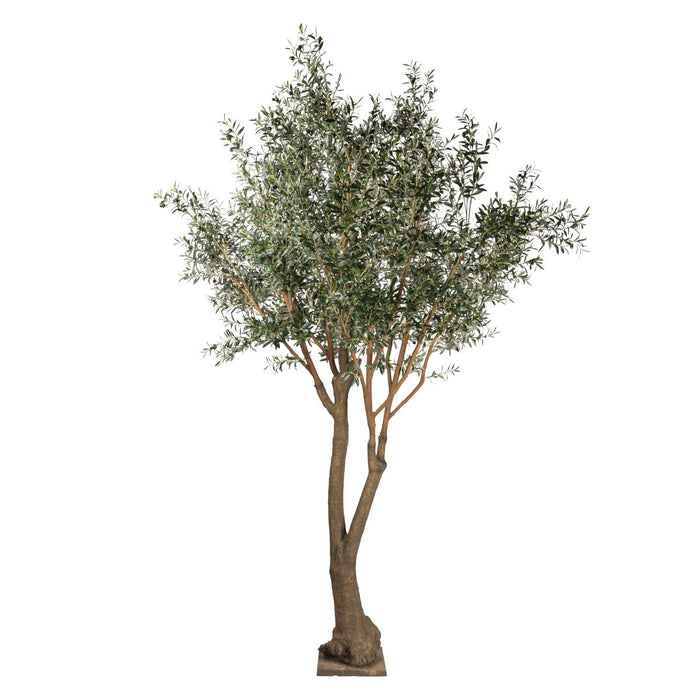 12' Giant Olive Tree- UV Protected    FP1300