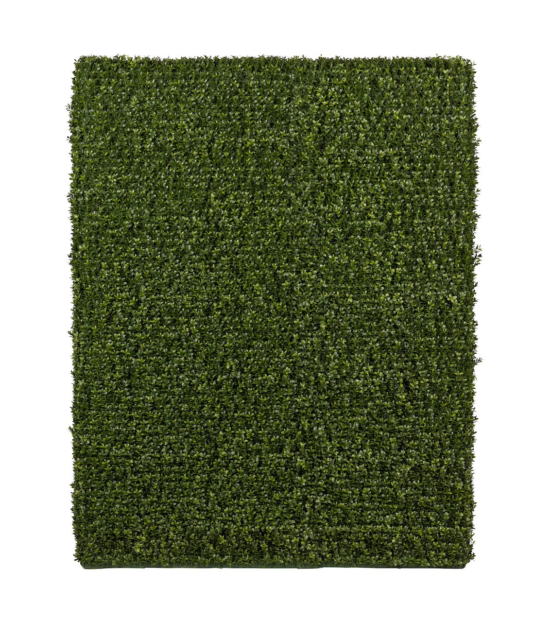 3.5' Boxwood Hedge- UV Protected    FP1305