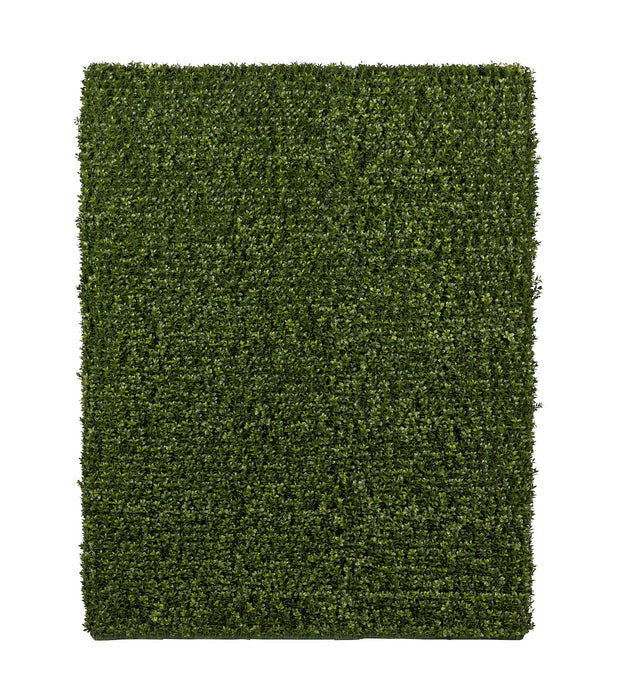 4' Boxwood Hedge- UV Protected    FP1305