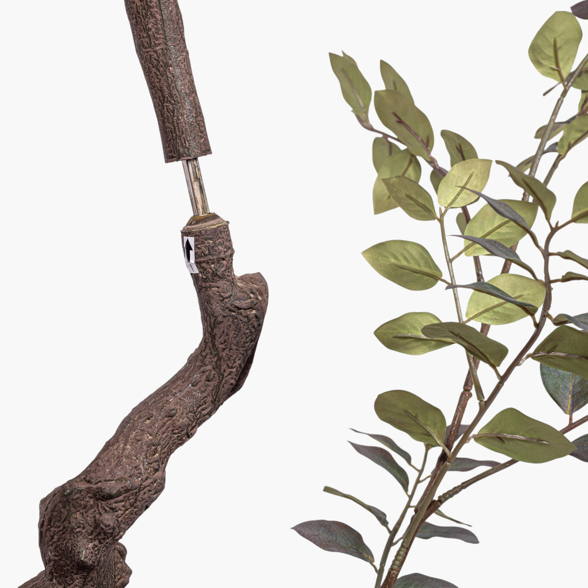 8' Crepe Myrtle Tree in White Pot     FP1346