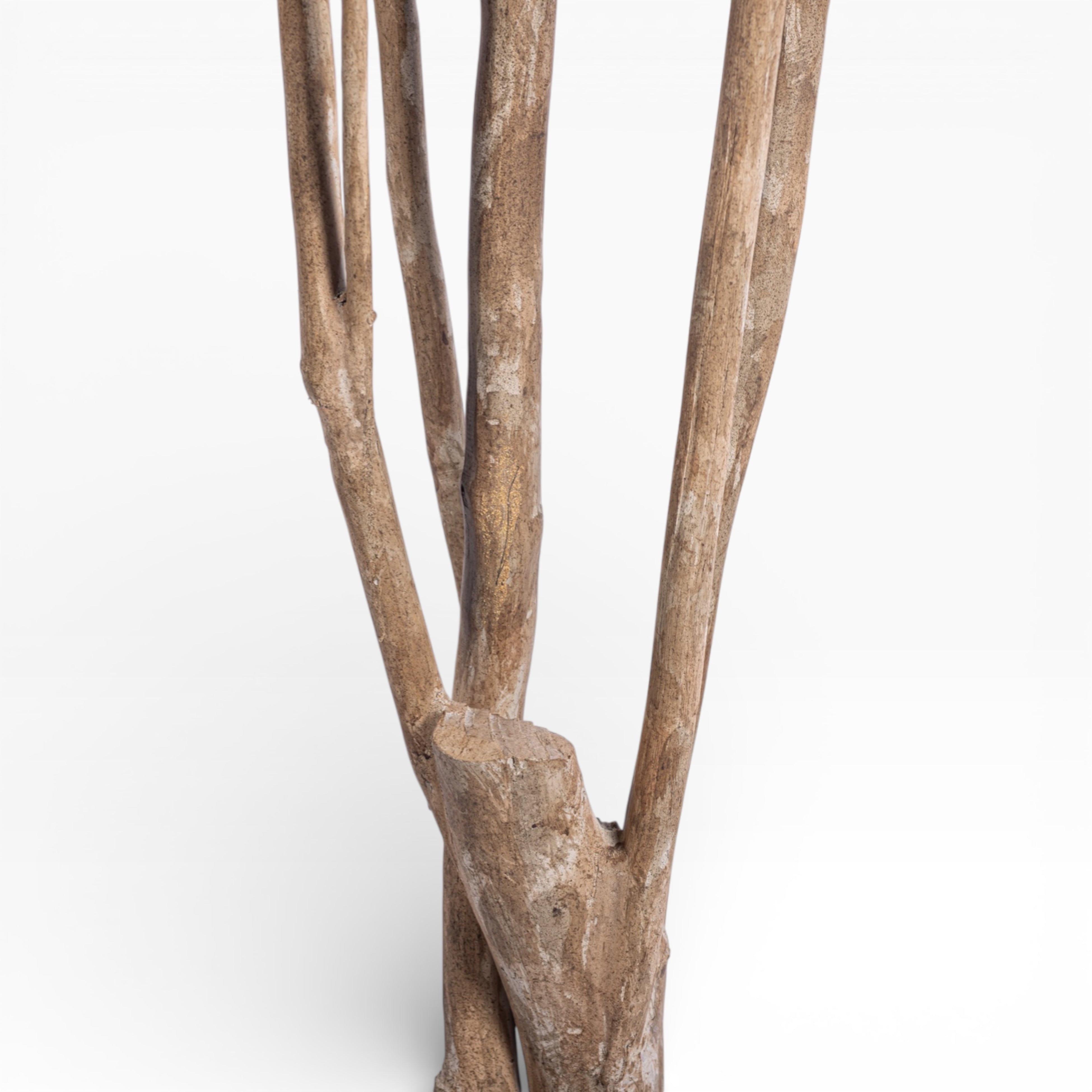 8' Olive Tree   FP1411