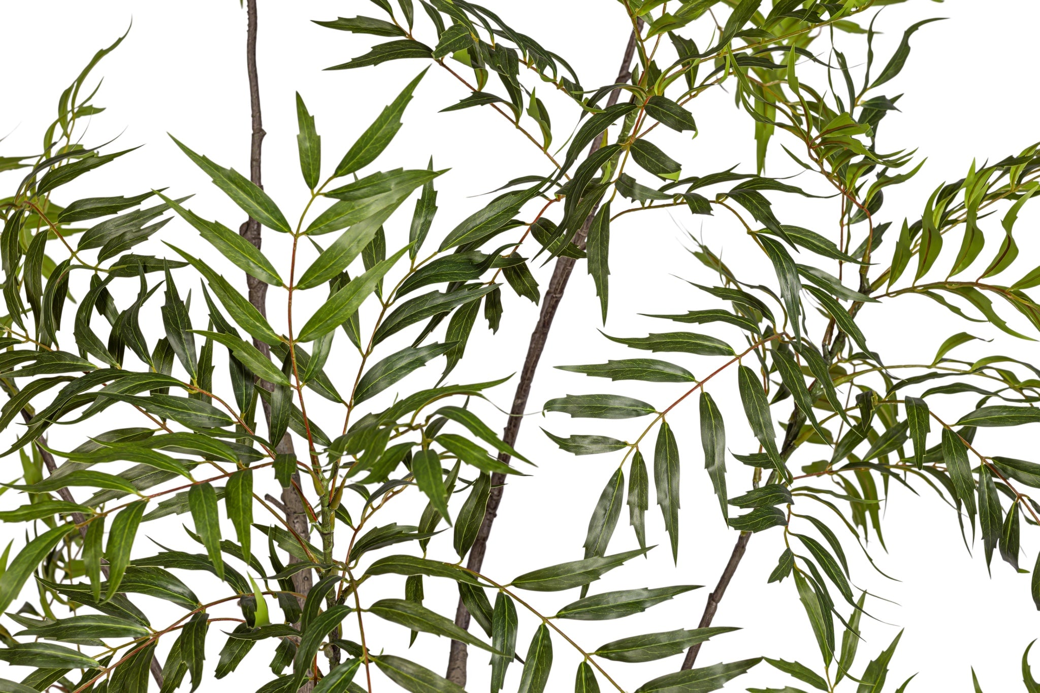 7' Golden Bamboo Tree   FP1421