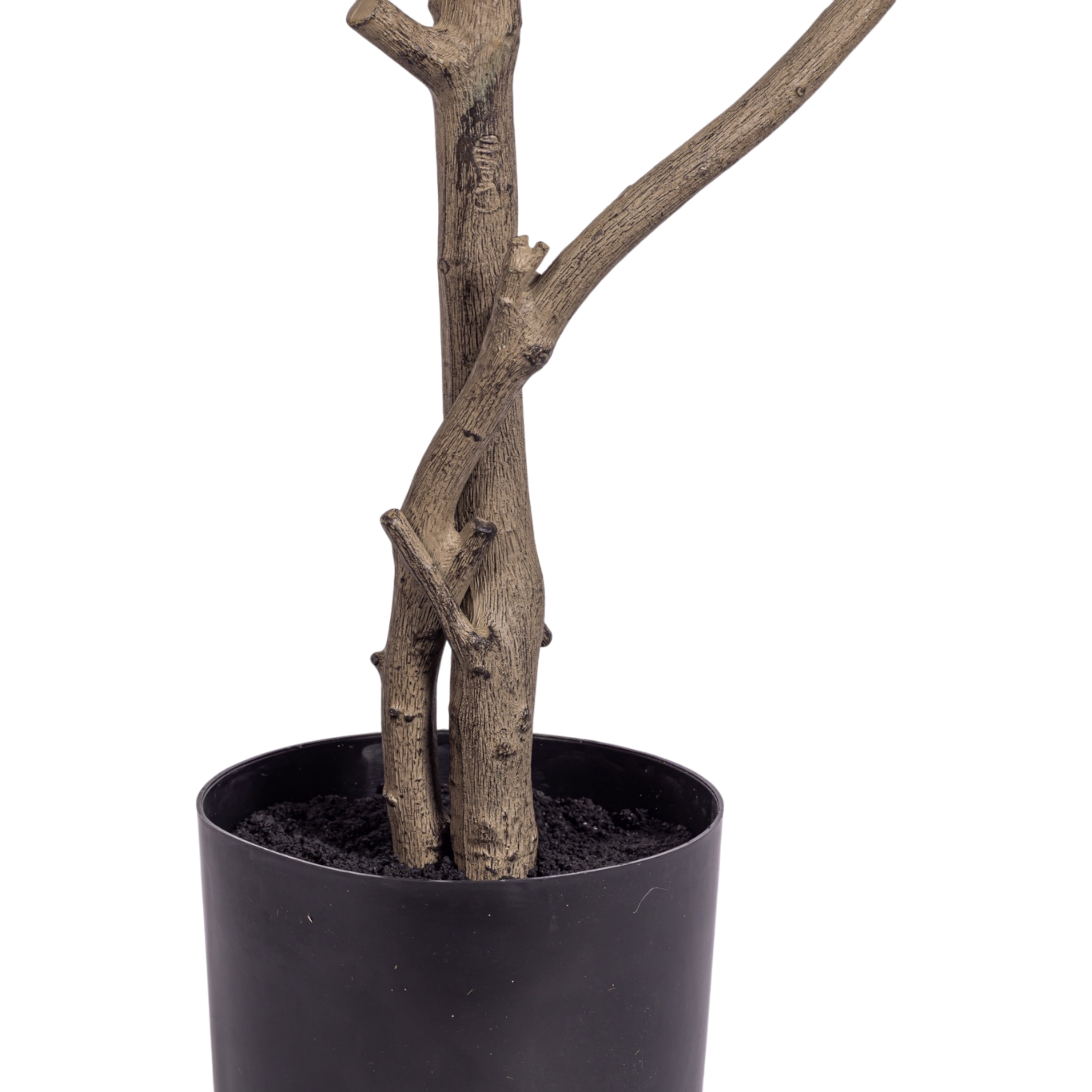 7' Golden Bamboo Tree   FP1421