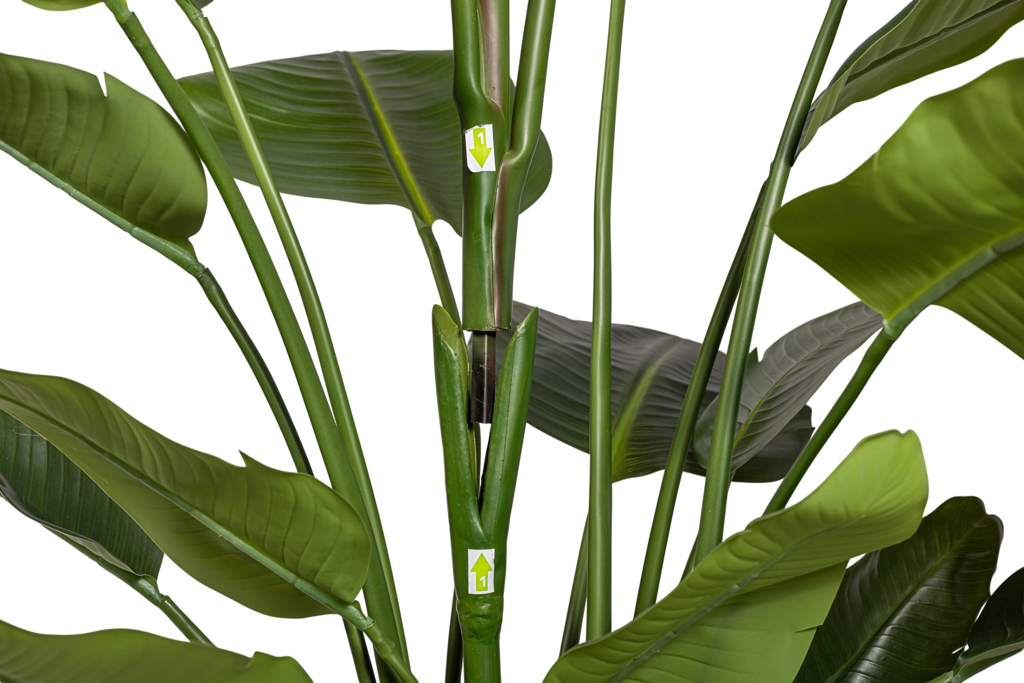 6' Traveller Palm Tree   FP1424